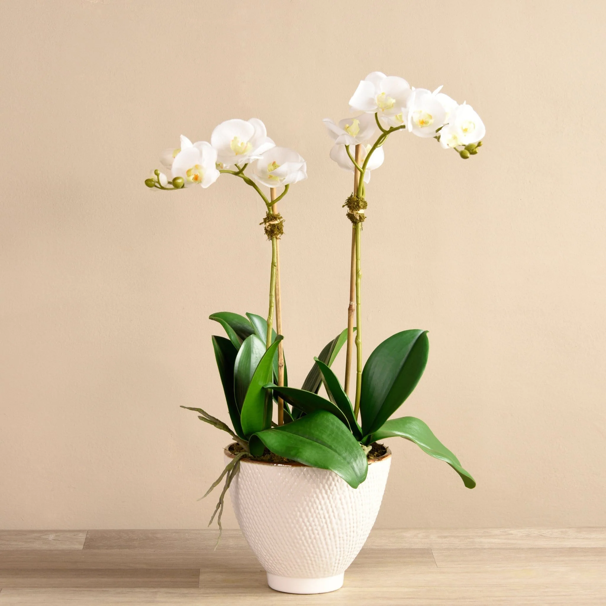 Rustic Orchid Arrangement - Image 3