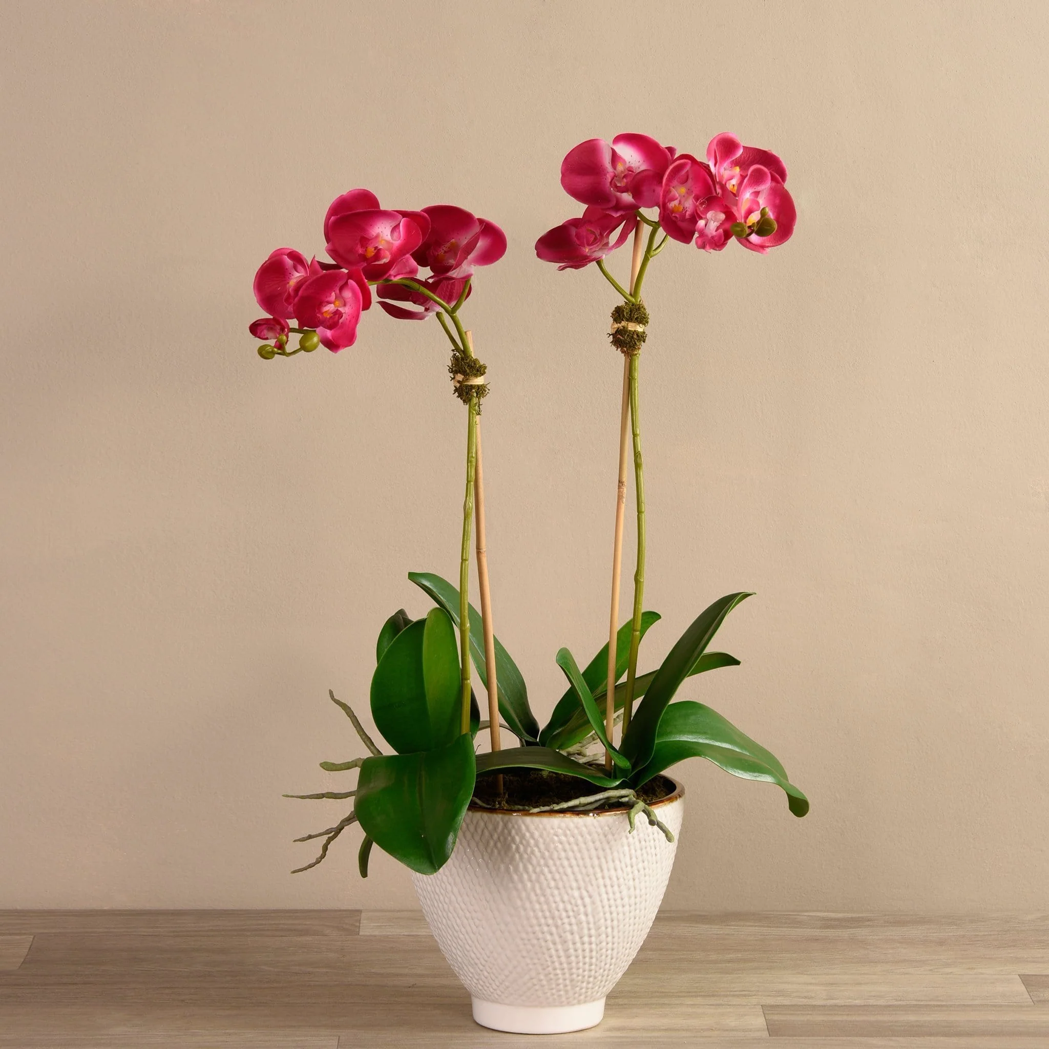 Rustic Orchid Arrangement - Image 4