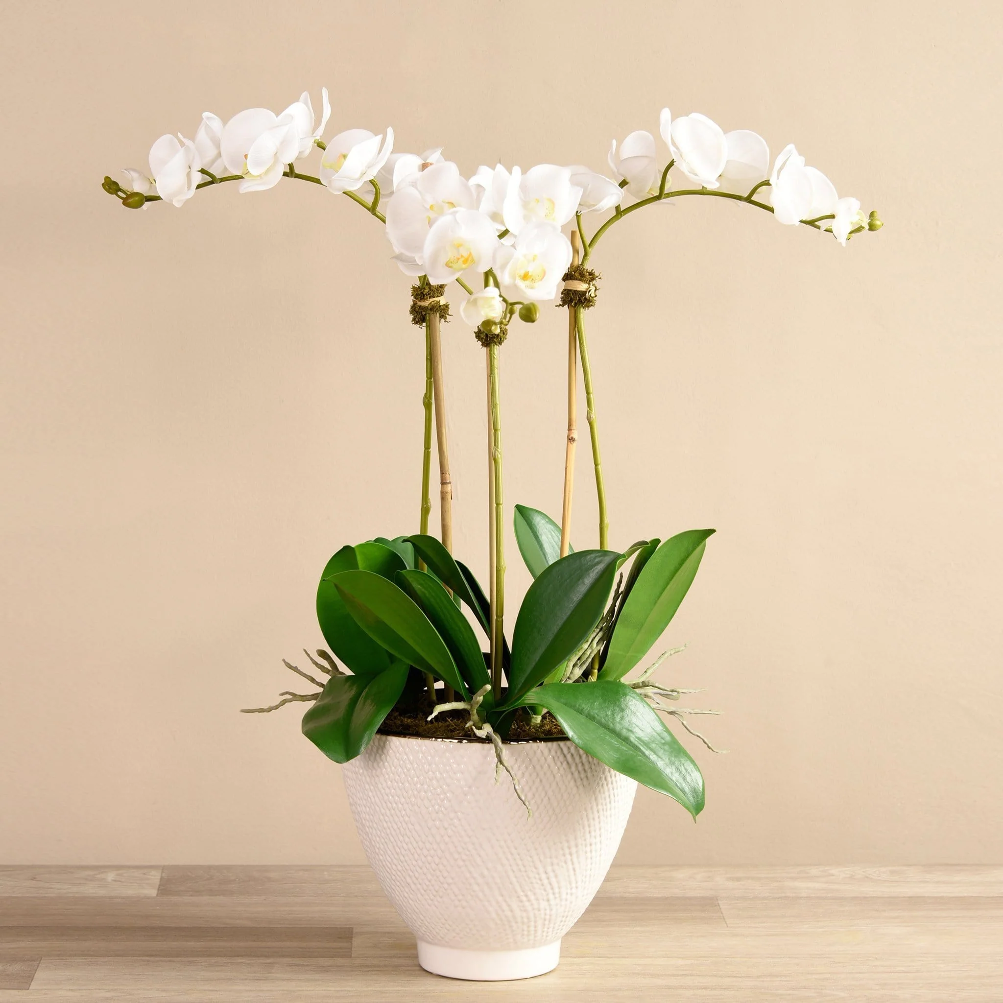 Rustic Orchid Arrangement - Image 5