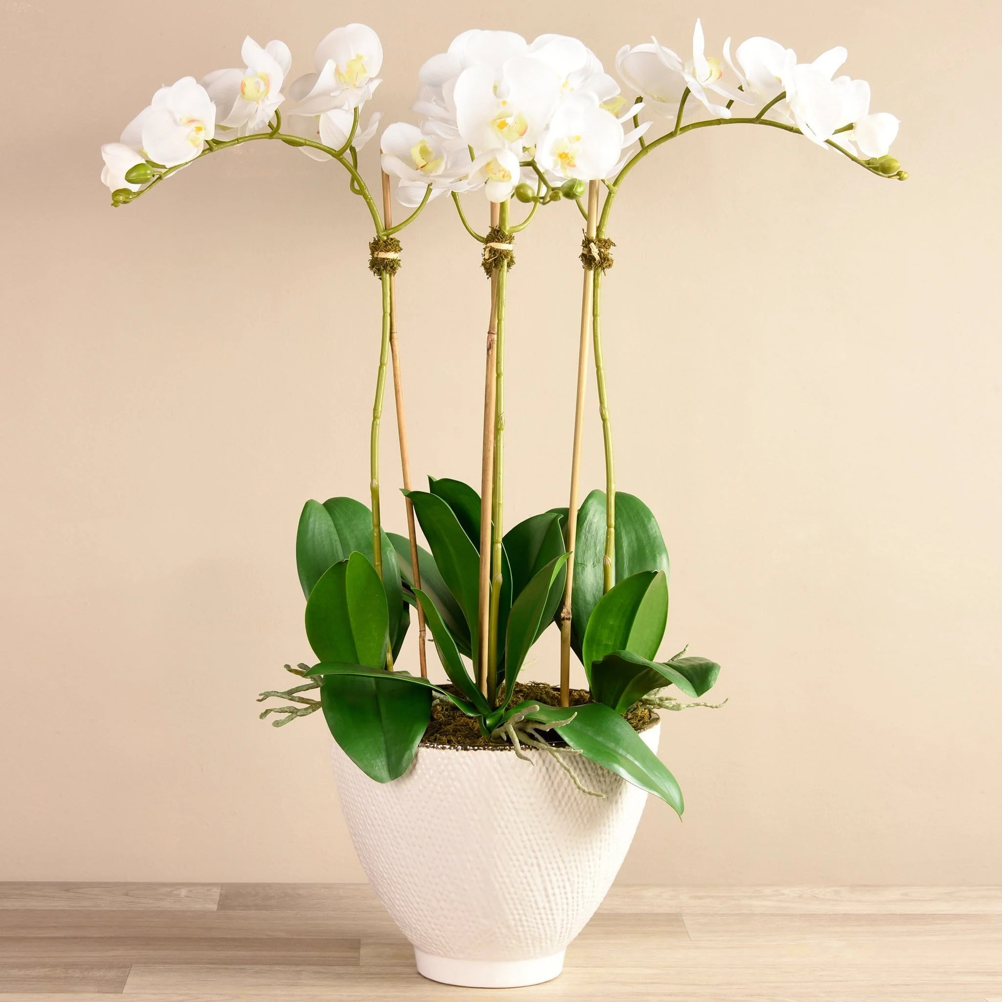 Rustic Orchid Arrangement - Image 7