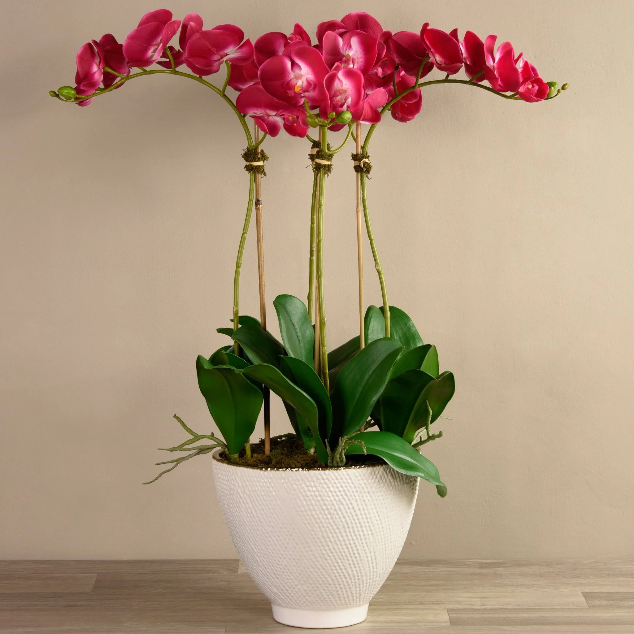 Rustic Orchid Arrangement - Image 8