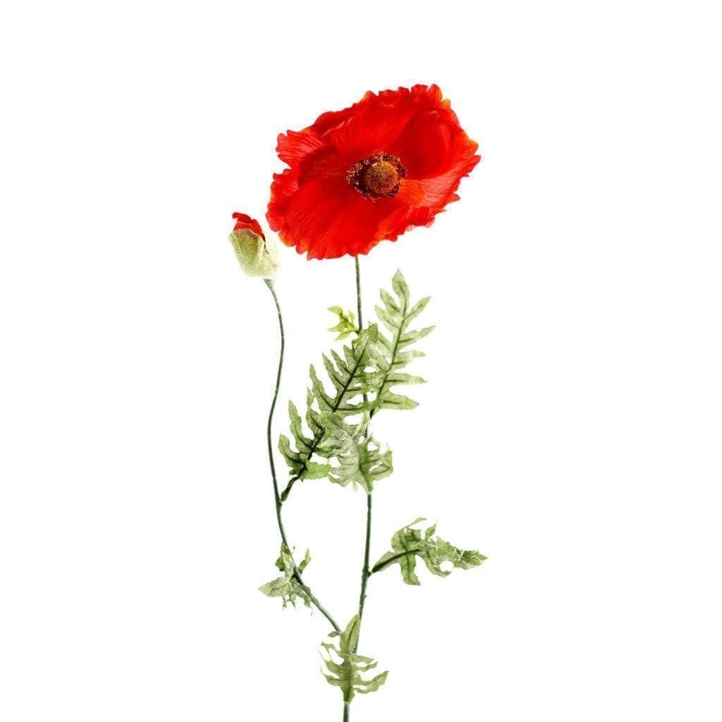 Scarlet - Image 2