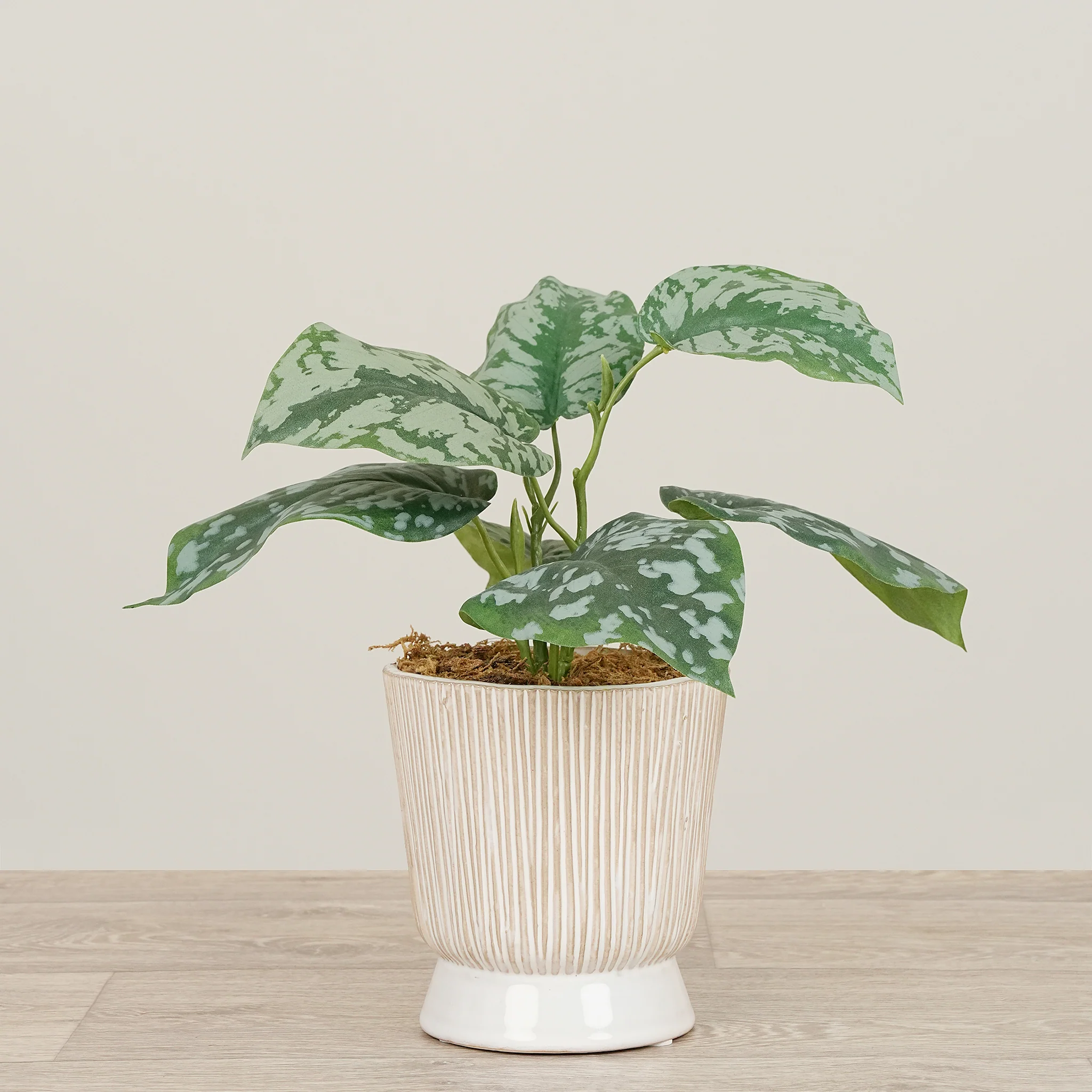 Artificial Scindapsus Arrangement in Ceramic Vase
