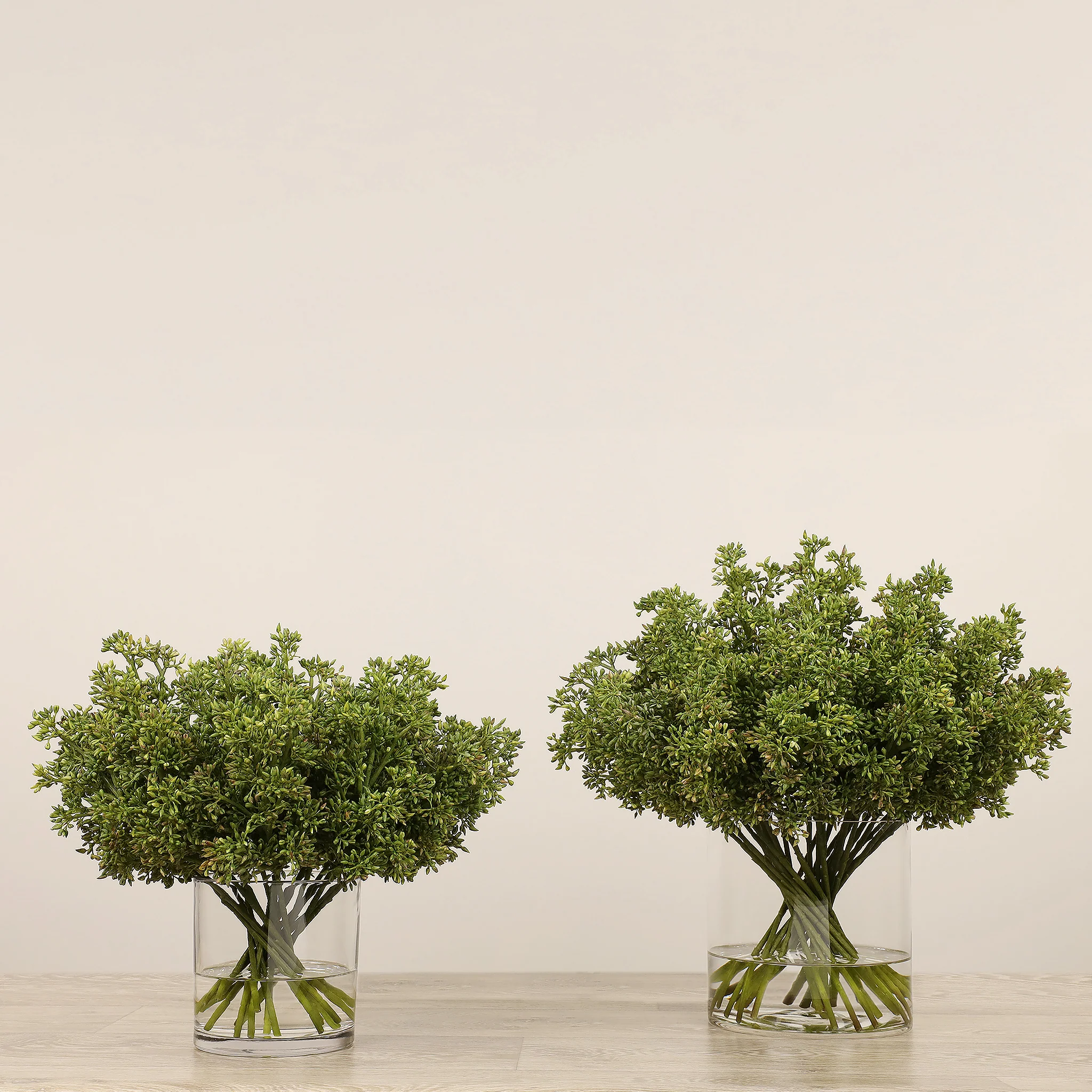 Sedum Arrangement in Glass Vase