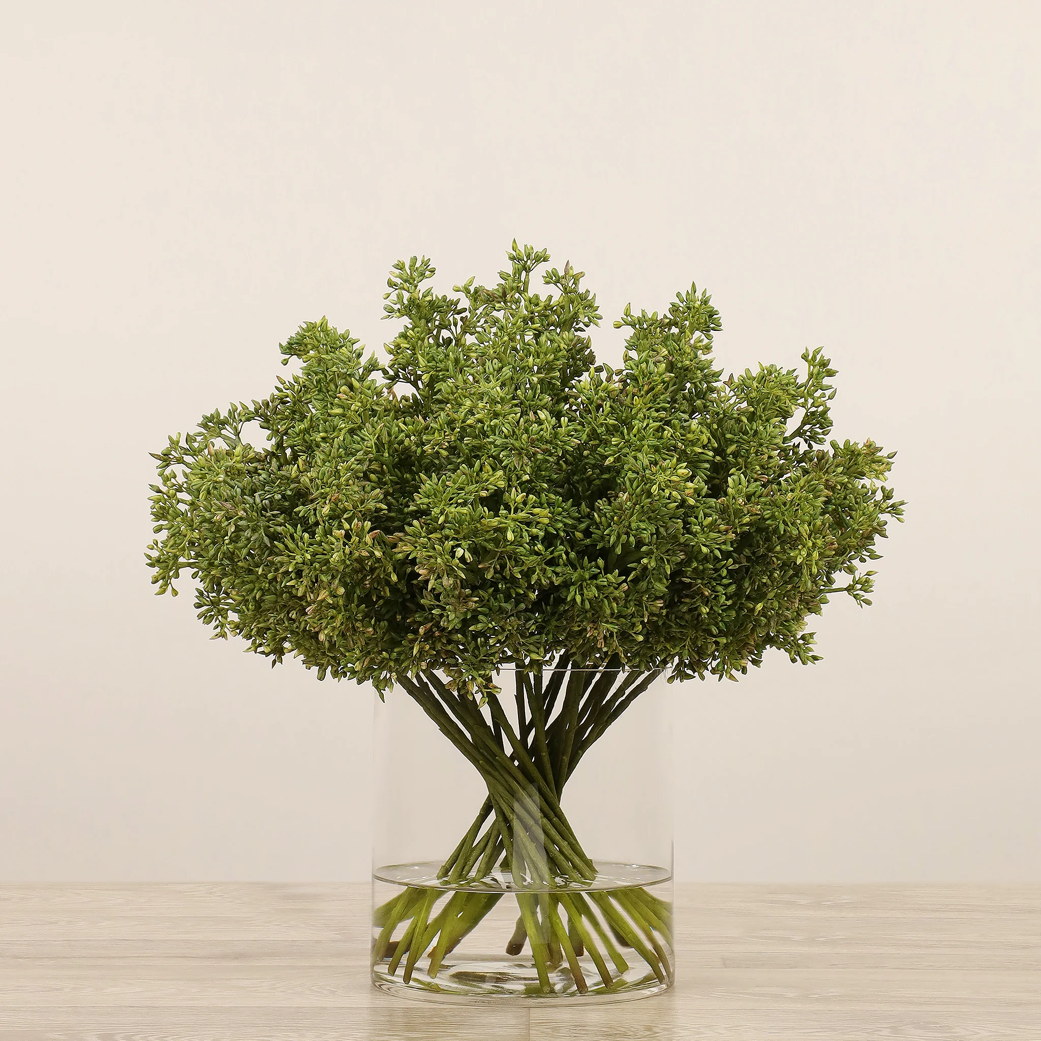 Sedum Arrangement in Glass Vase - Image 3