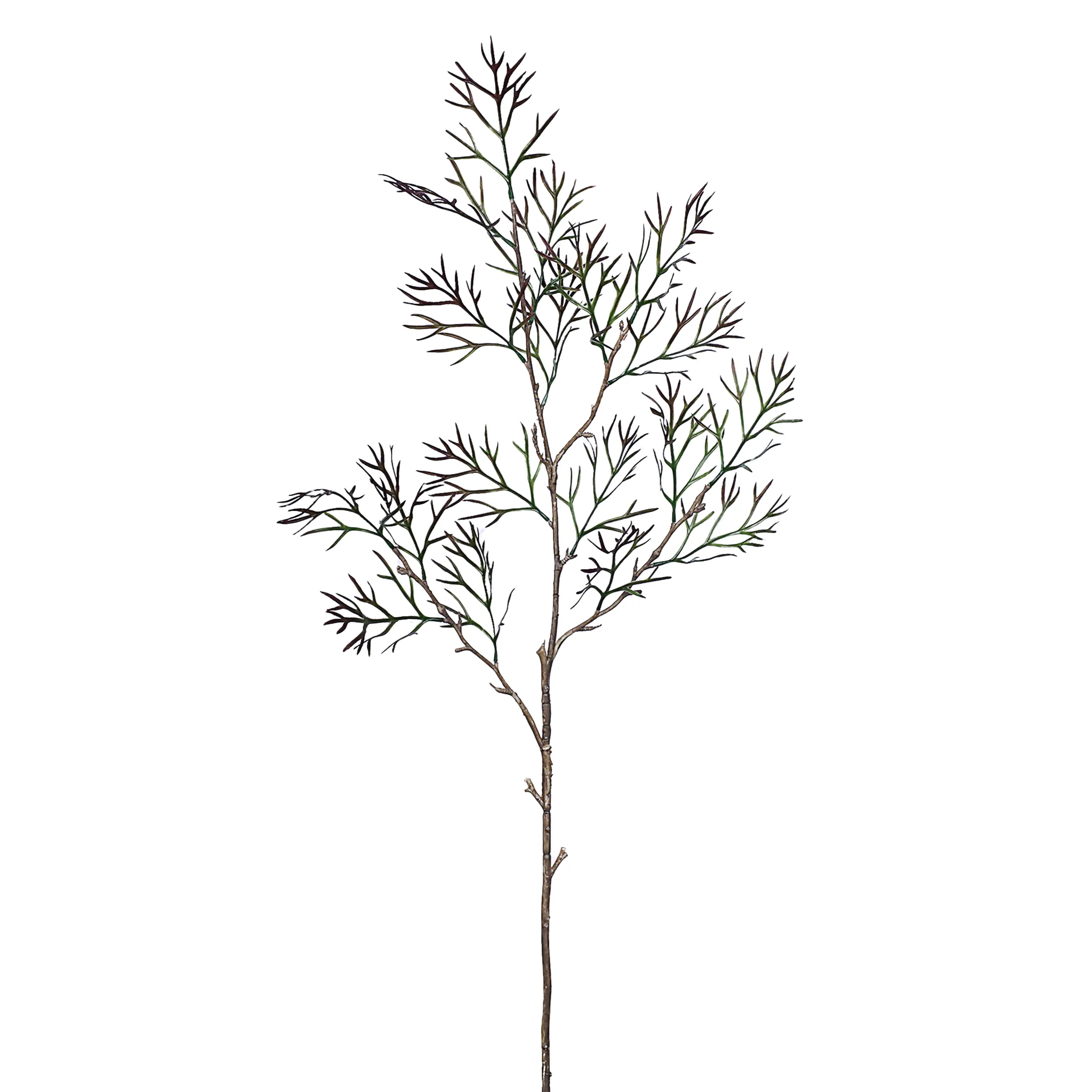 Silver Birch Leaf