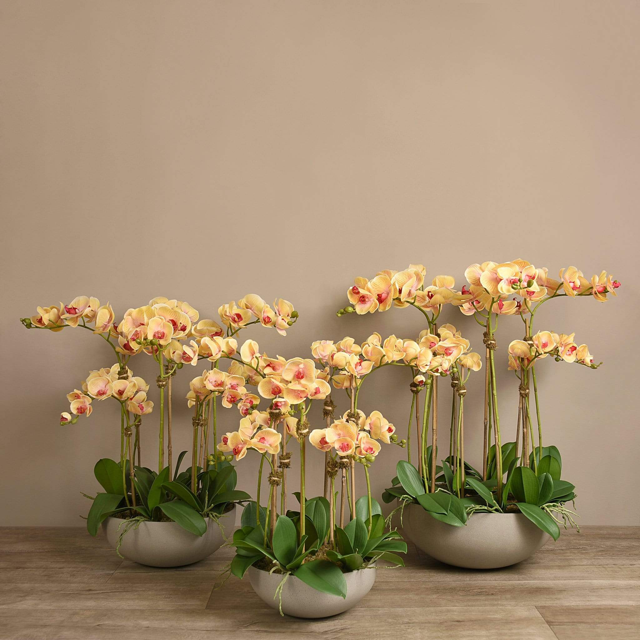 Sleek Artificial Orchid Arrangement - Image 13