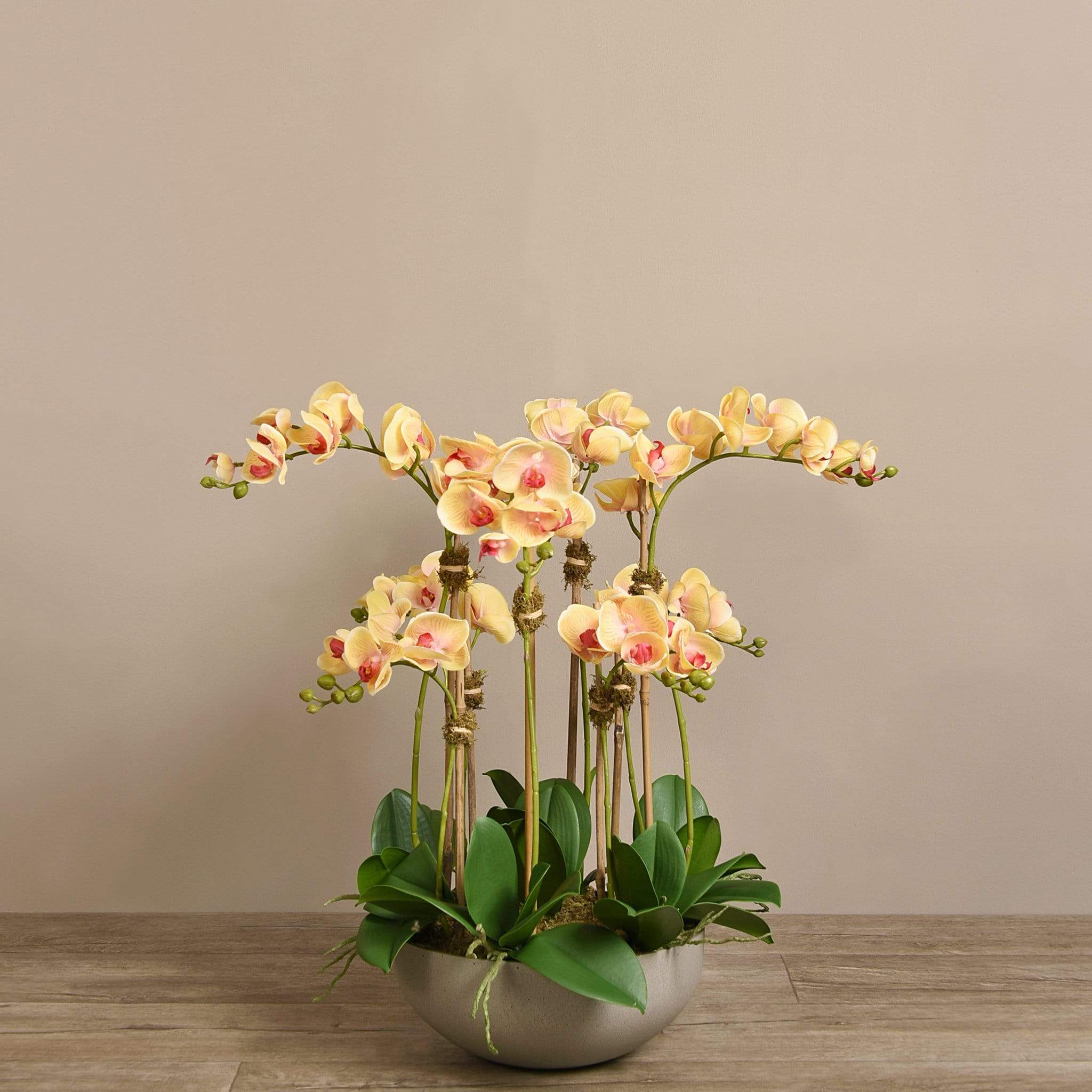 Sleek Artificial Orchid Arrangement - Image 14