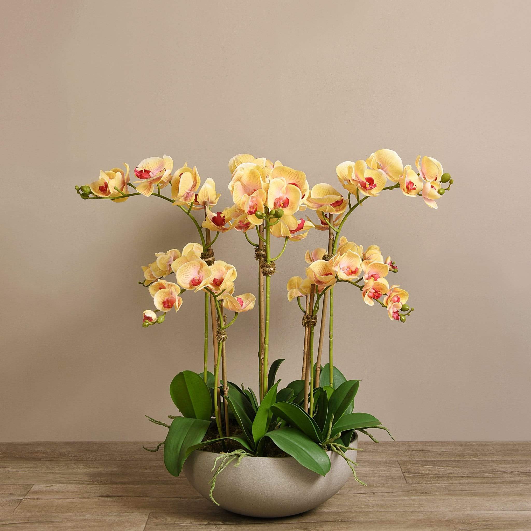 Sleek Artificial Orchid Arrangement - Image 15
