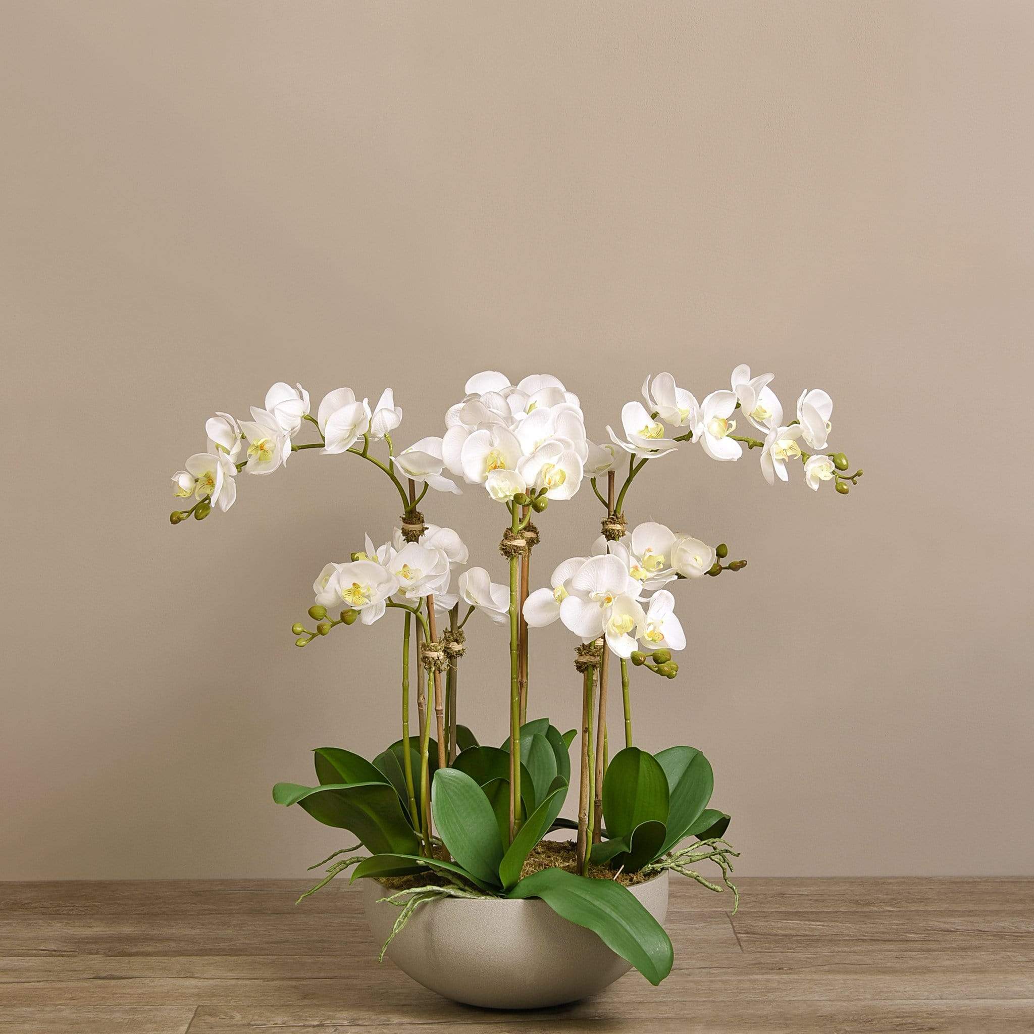 Sleek Artificial Orchid Arrangement - Image 2