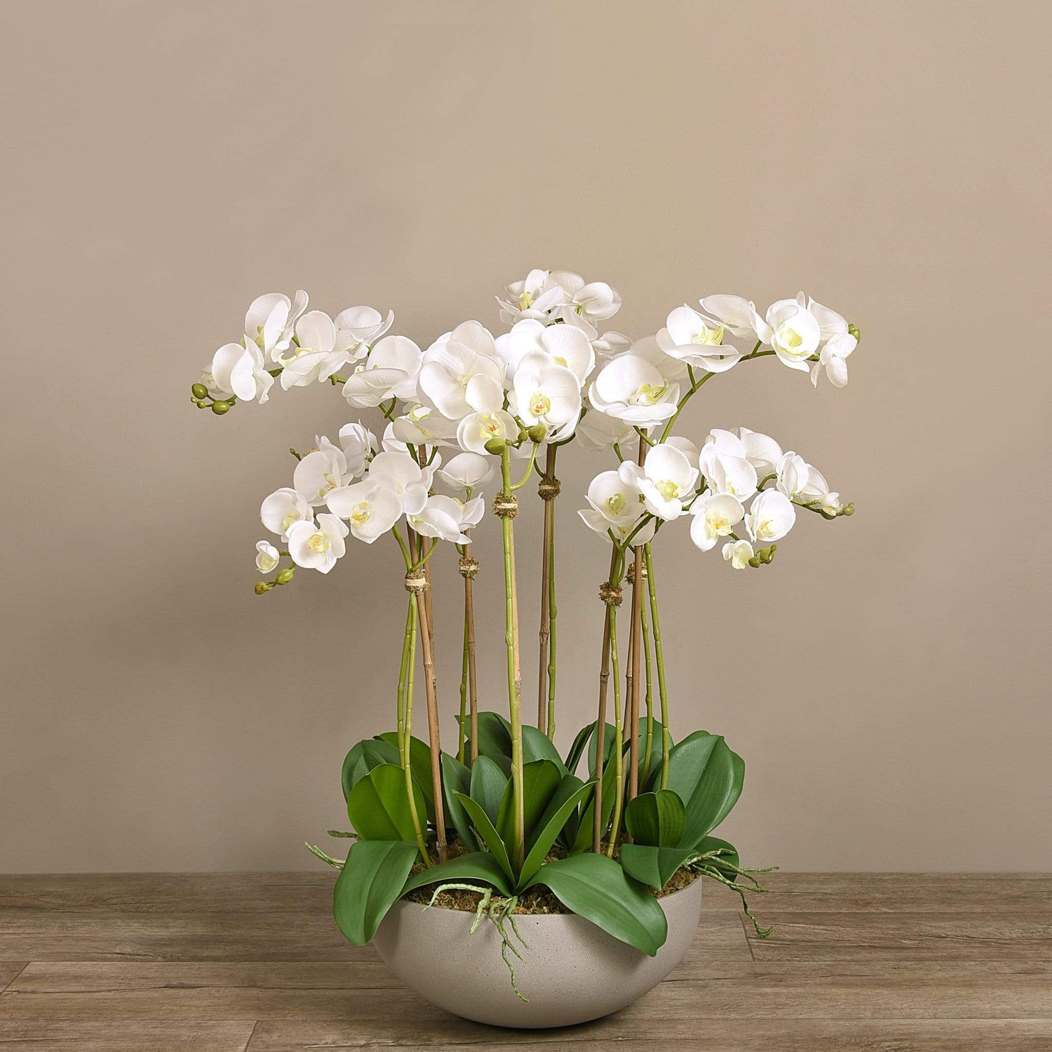 Sleek Artificial Orchid Arrangement - Image 3
