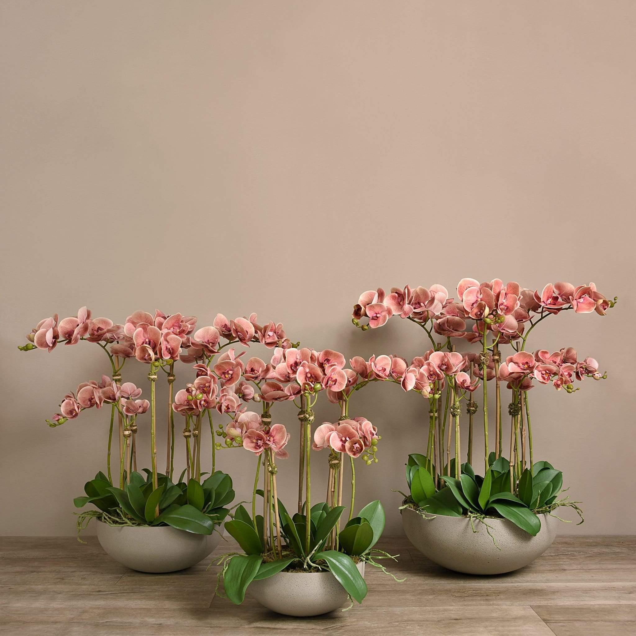 Sleek Artificial Orchid Arrangement - Image 5