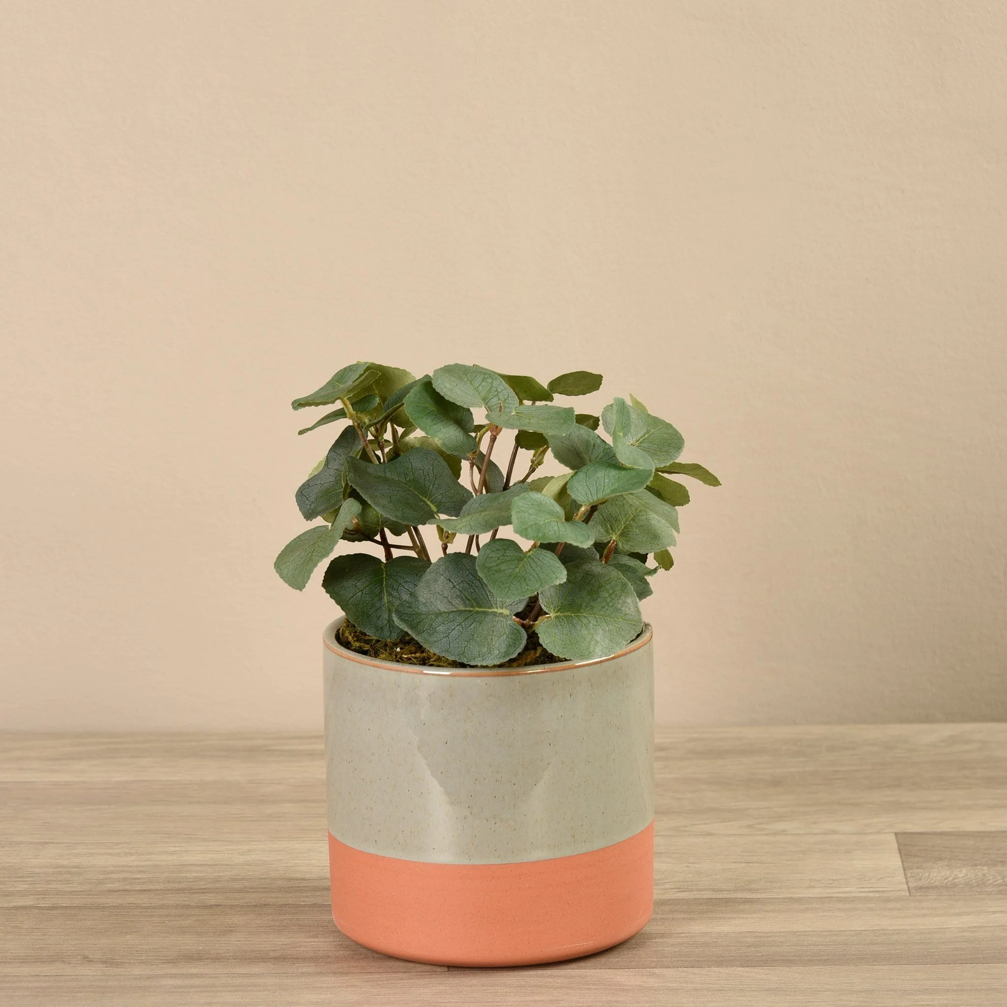 Artificial Eucalyptus Arrangement in Ceramic Vase - Image 2