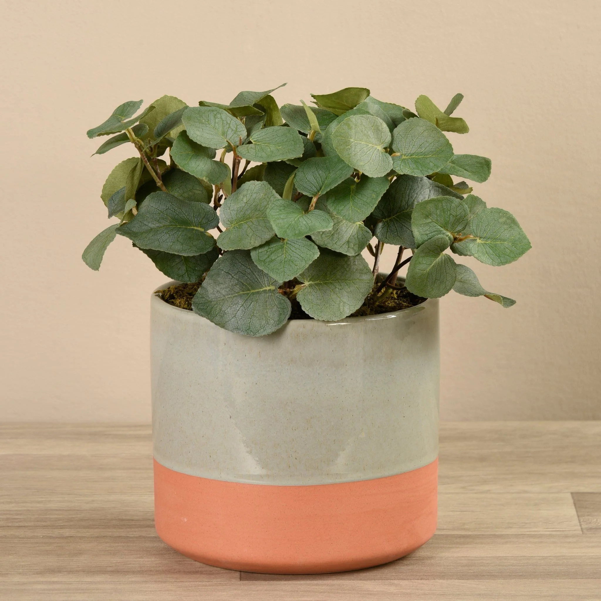 Artificial Eucalyptus Arrangement in Ceramic Vase - Image 3