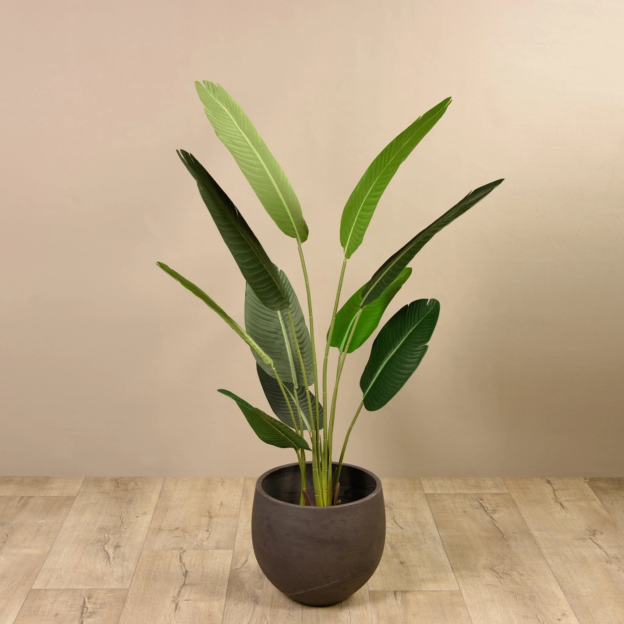 Artificial Strelitzia Palm 160cm - Image 3