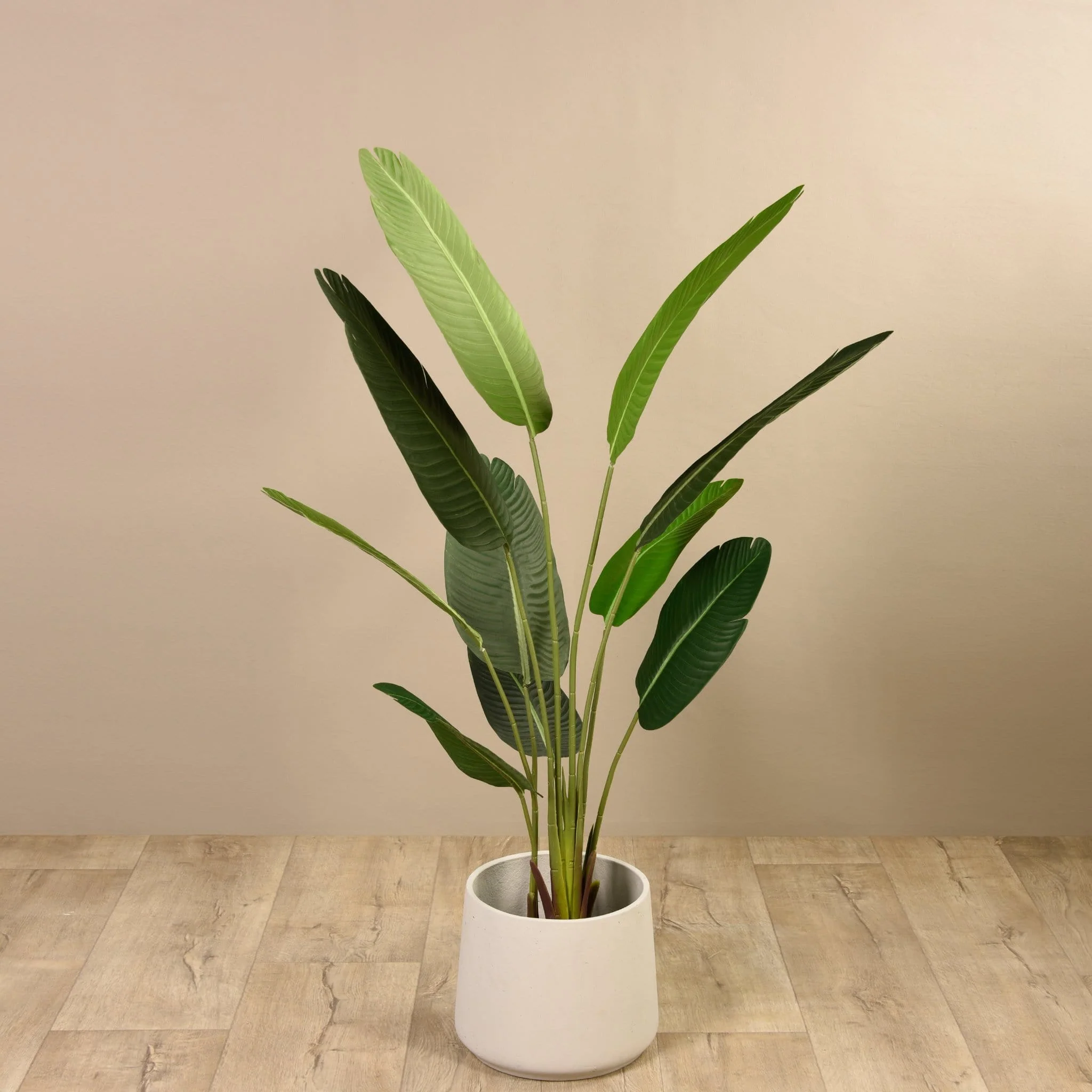 Artificial Strelitzia Palm 160cm - Image 4