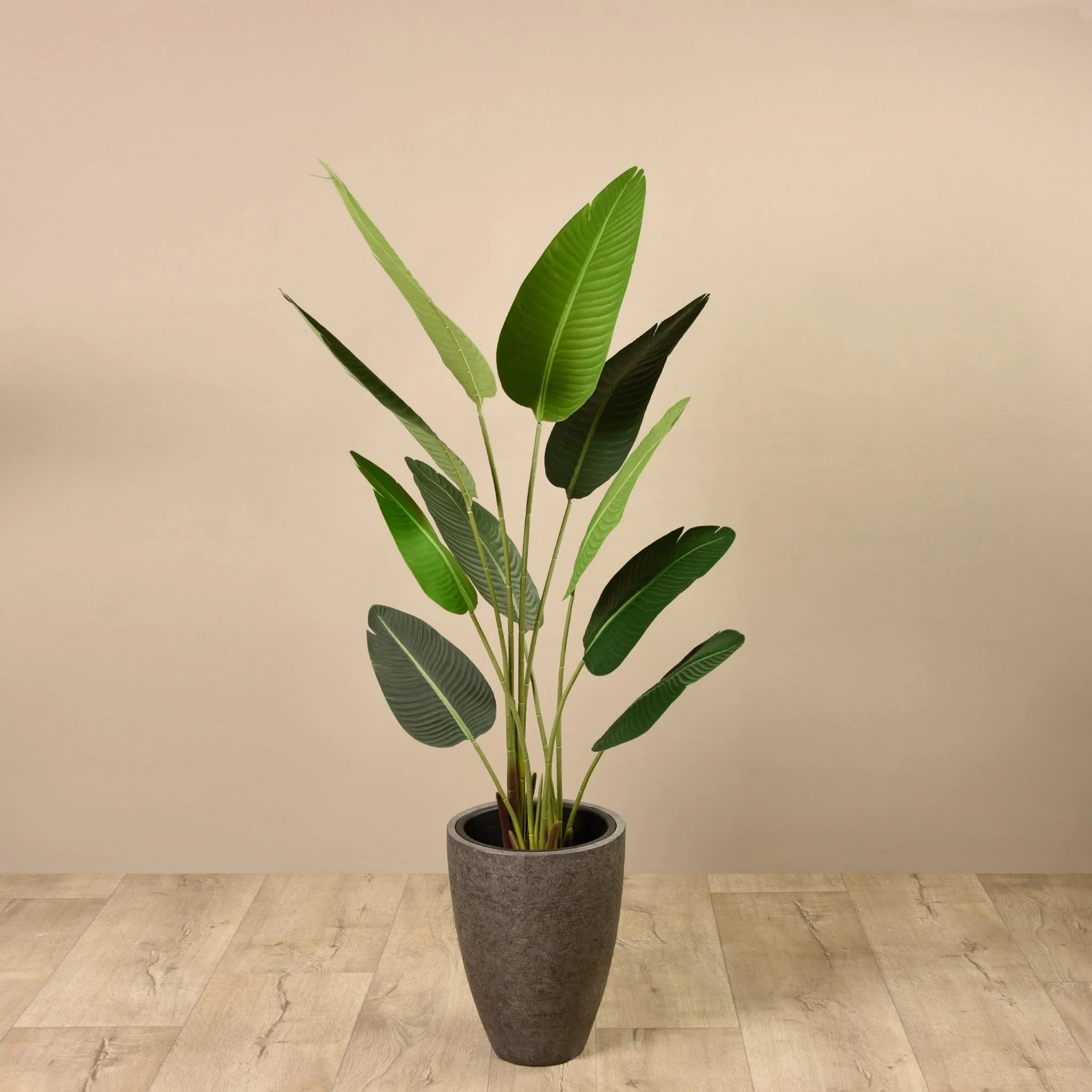 Artificial Strelitzia Palm 160cm - Image 6
