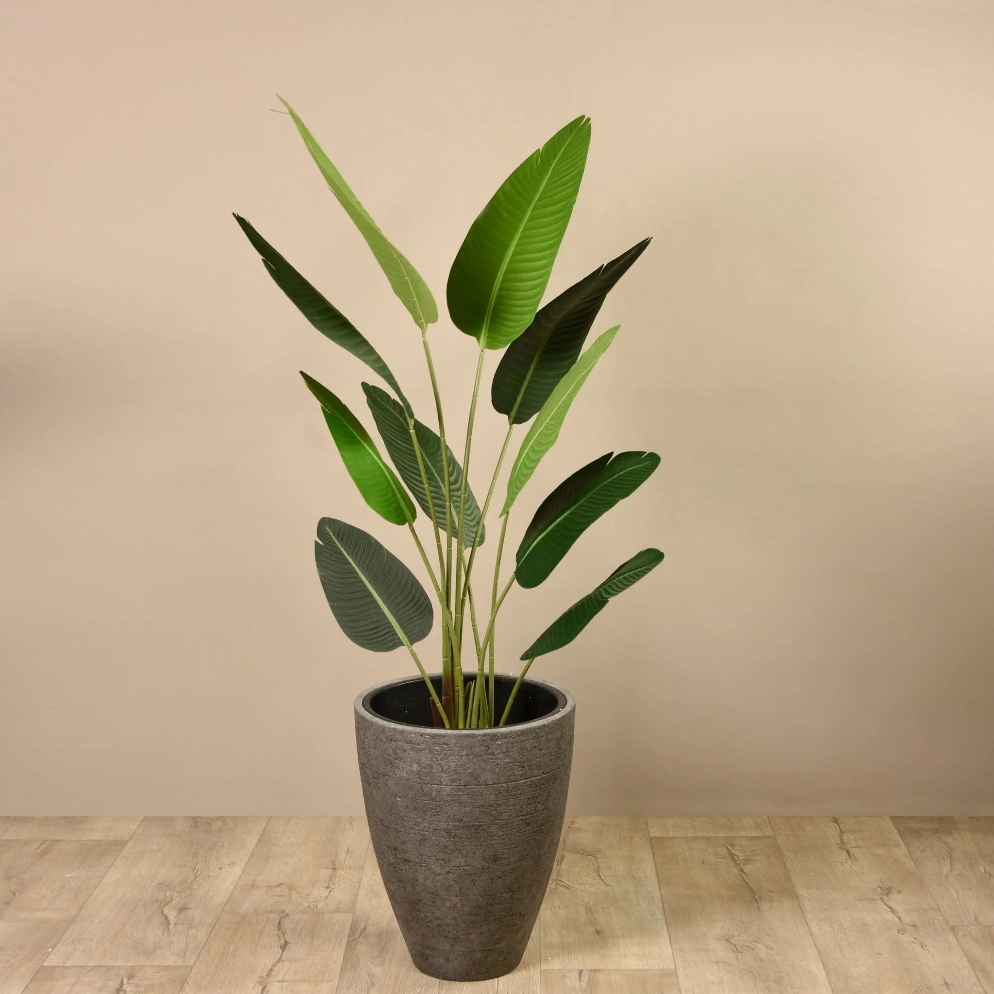 Artificial Strelitzia Palm 160cm - Image 7