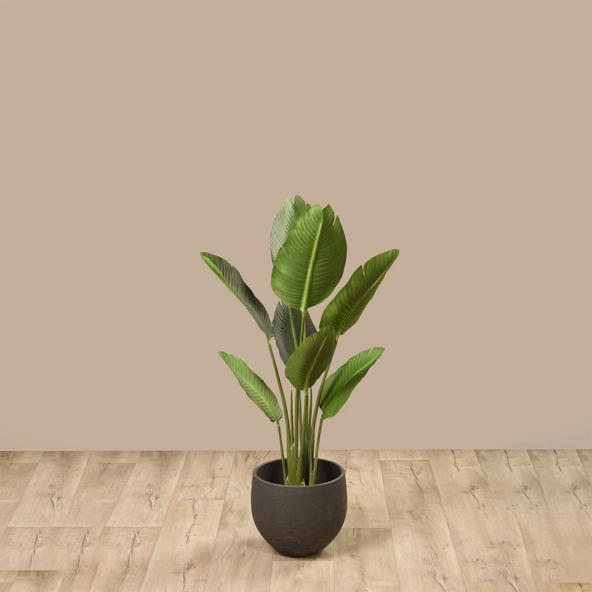 Artificial Strelitzia Tree 120cm - Image 6