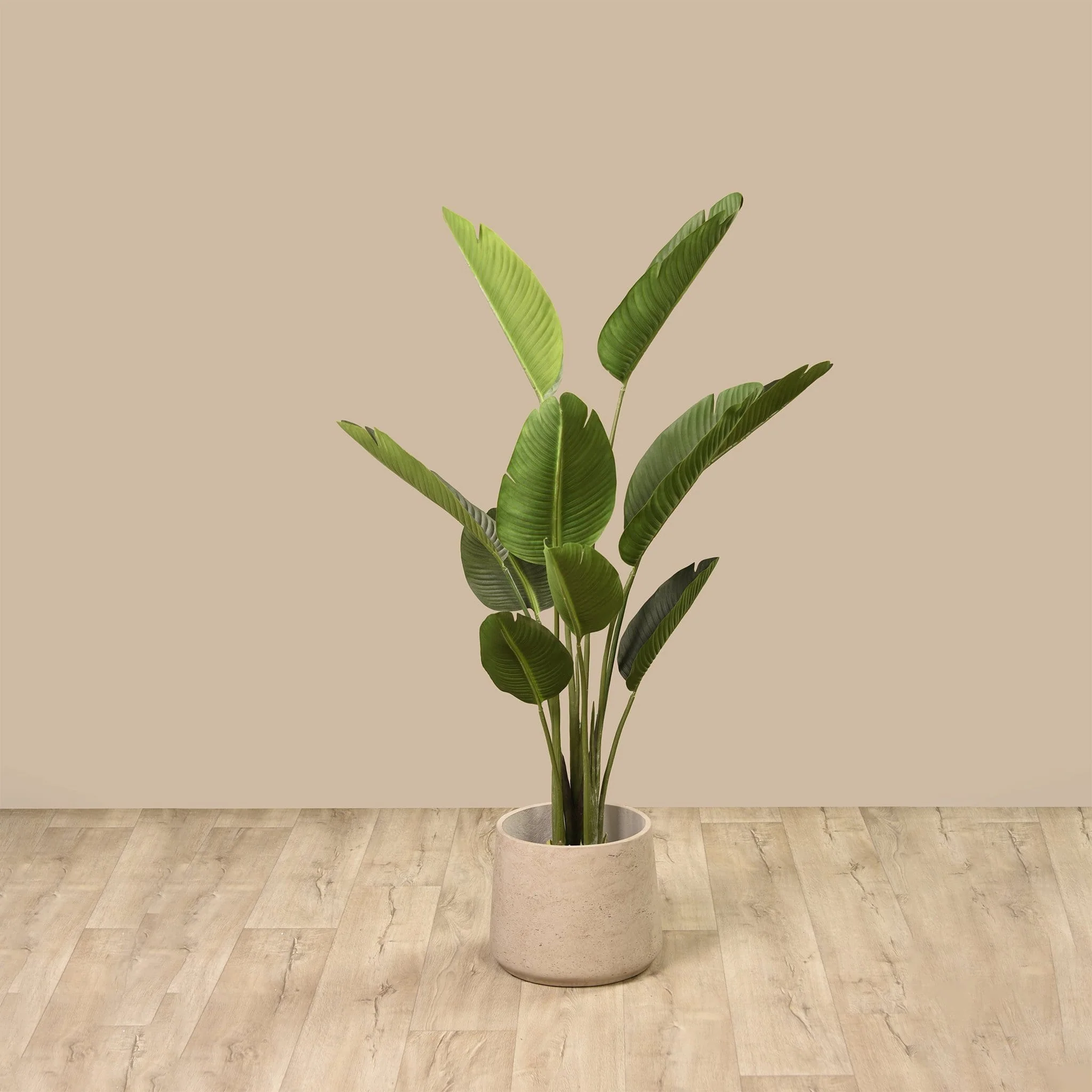 Artificial Strelitzia Tree 155cm - Image 3