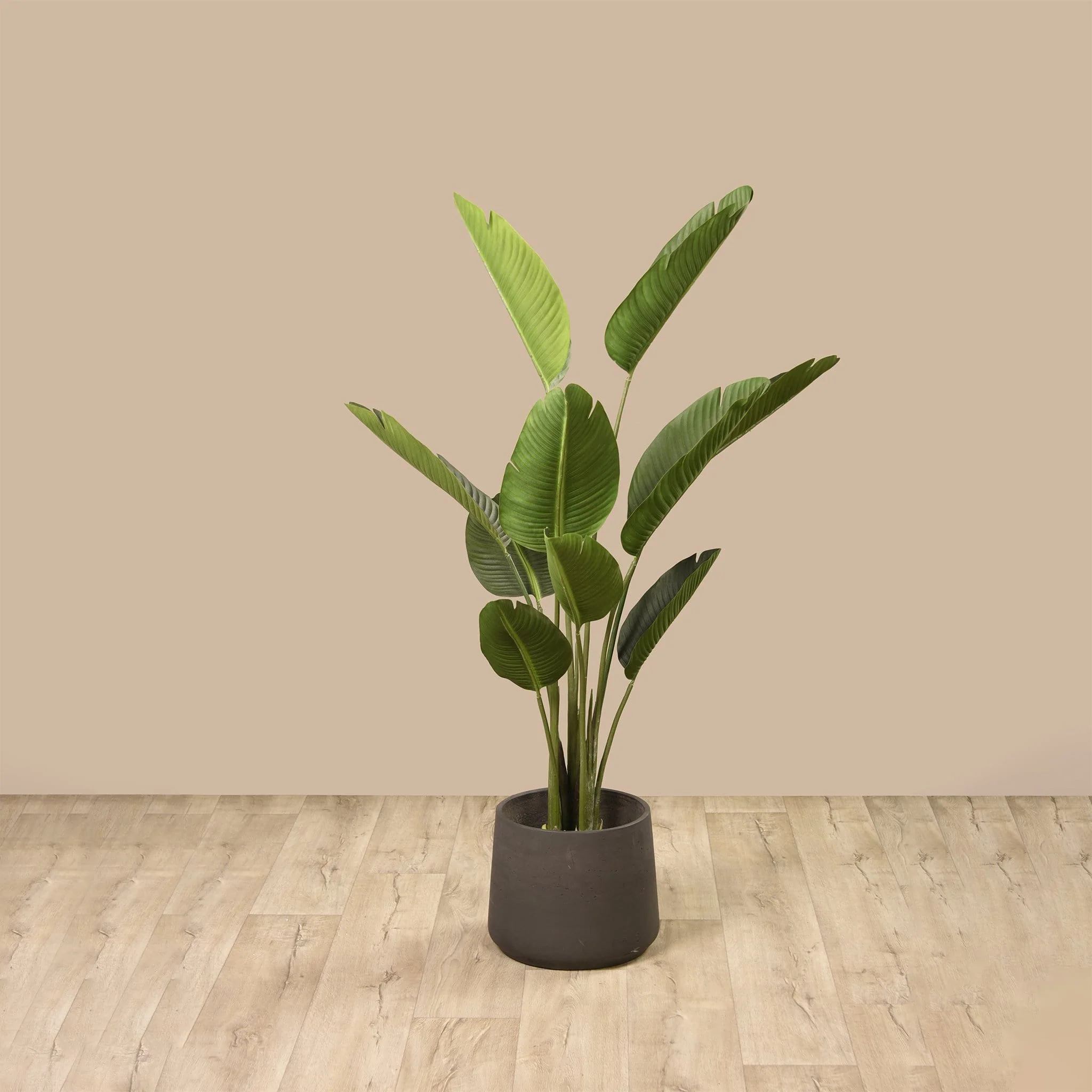 Artificial Strelitzia Tree 155cm - Image 4