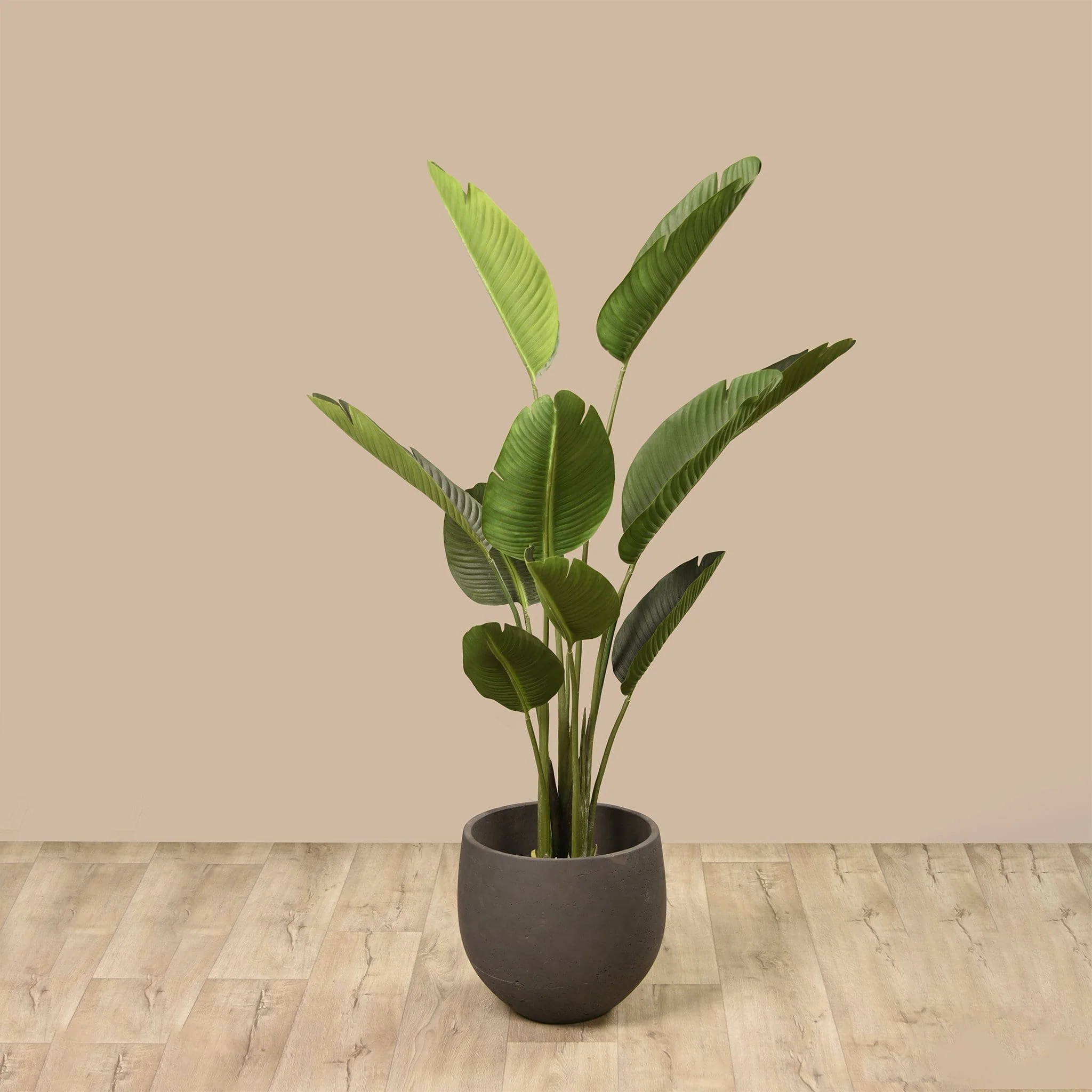 Artificial Strelitzia Tree 155cm - Image 5