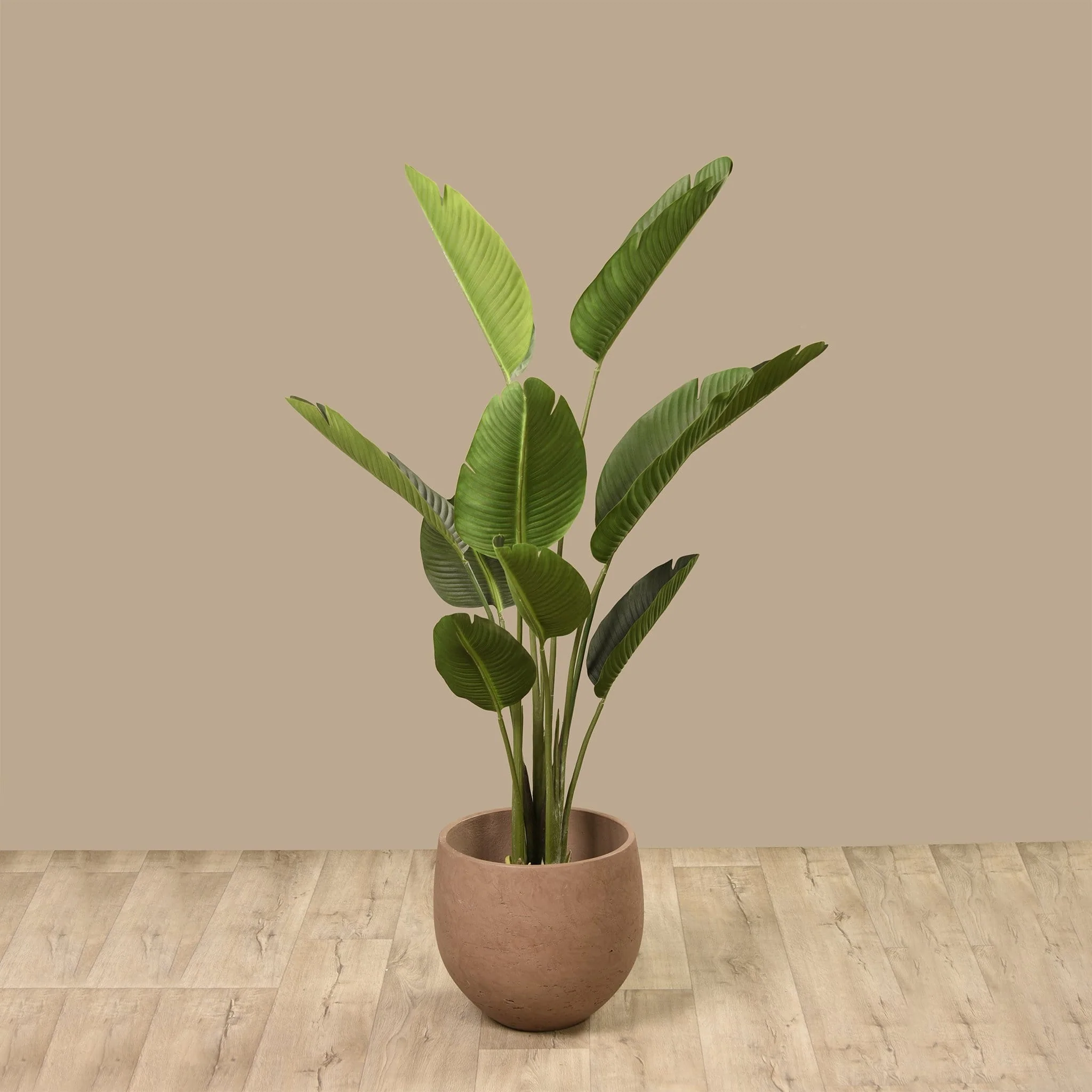 Artificial Strelitzia Tree 155cm - Image 6