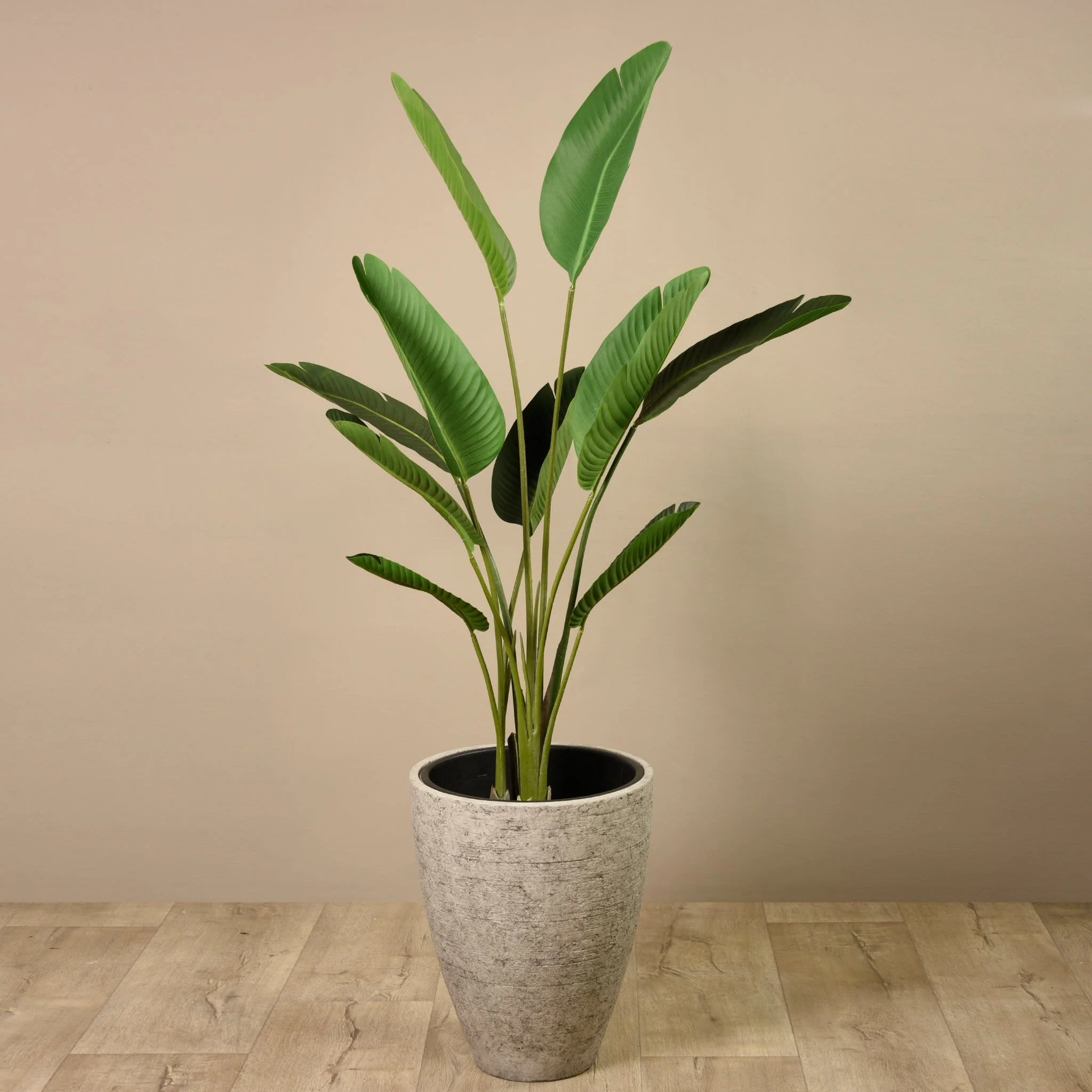 Artificial Strelitzia Tree 155cm - Image 8