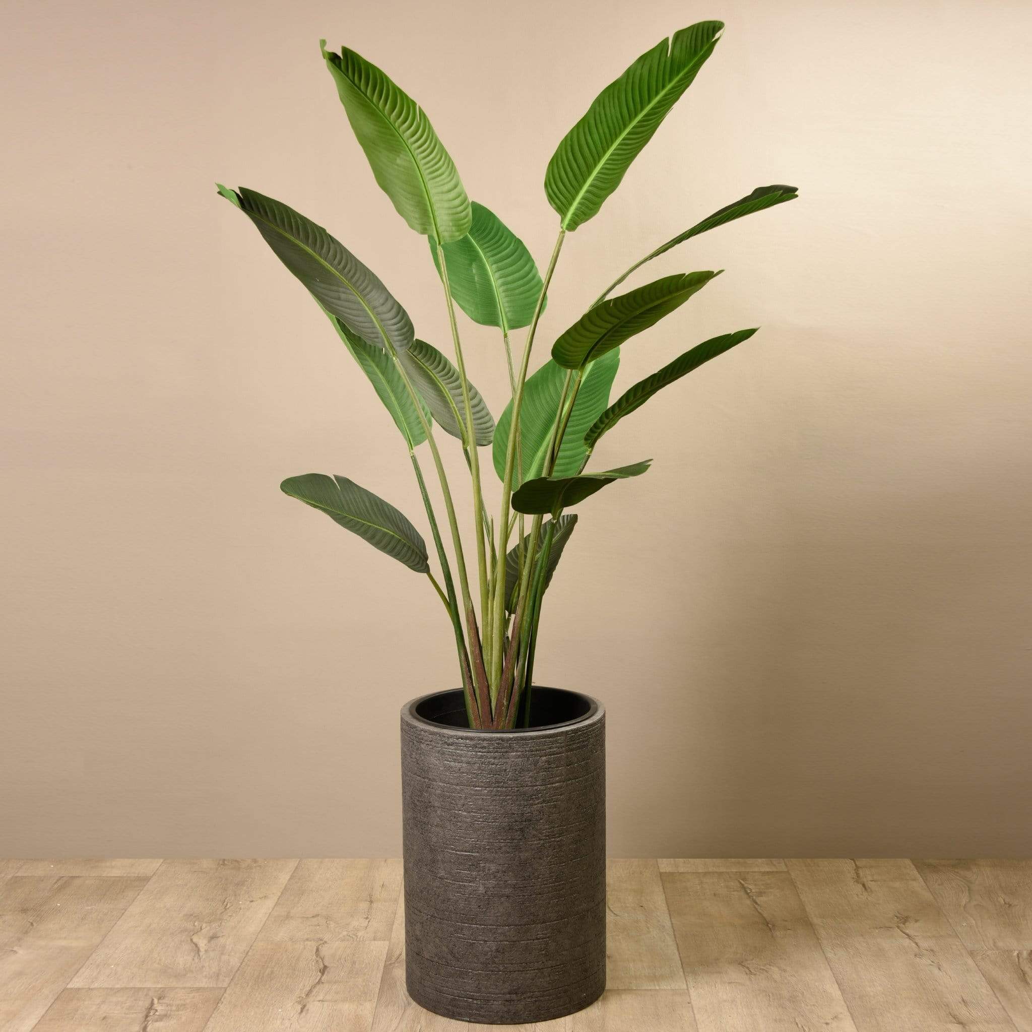 Artificial Strelitzia Tree 190cm - Image 10