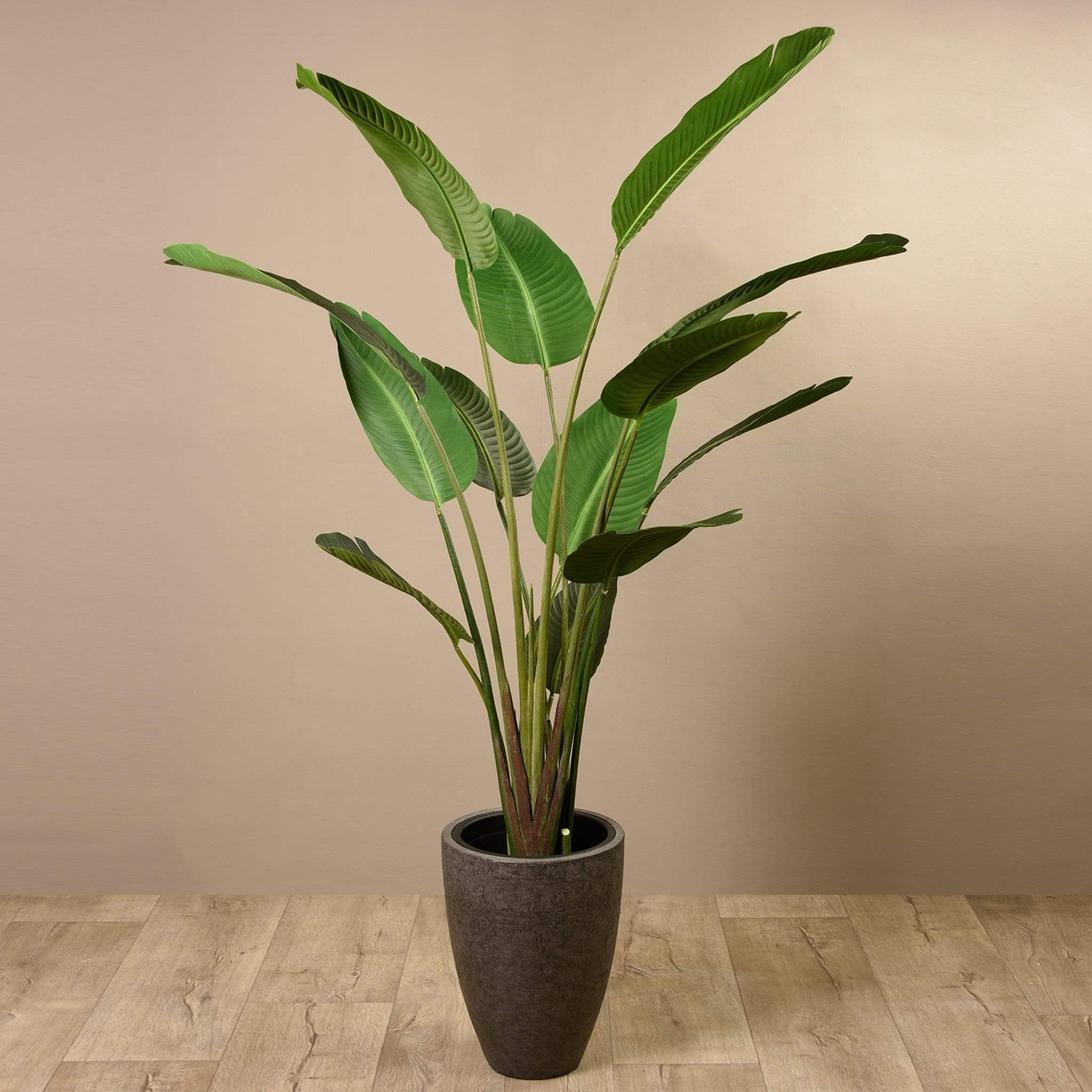 Artificial Strelitzia Tree 190cm - Image 5