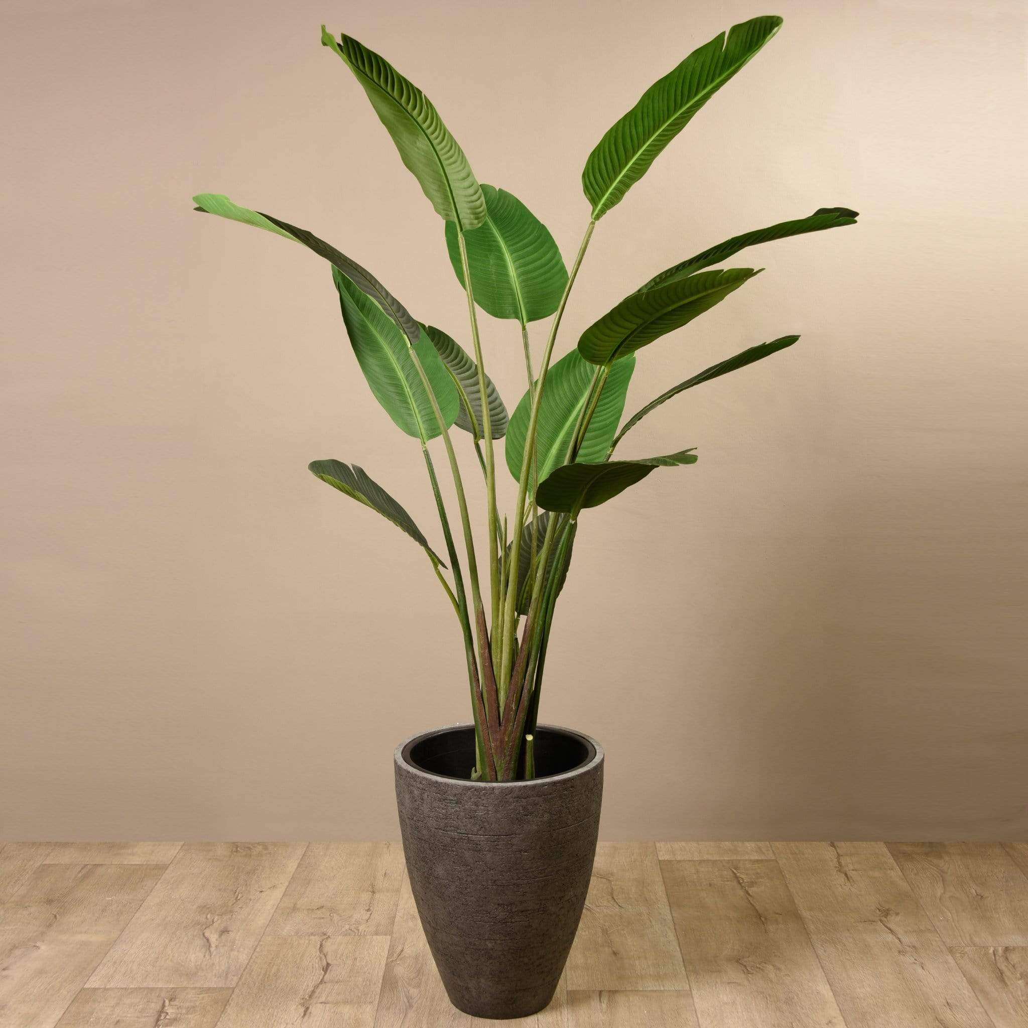 Artificial Strelitzia Tree 190cm - Image 6