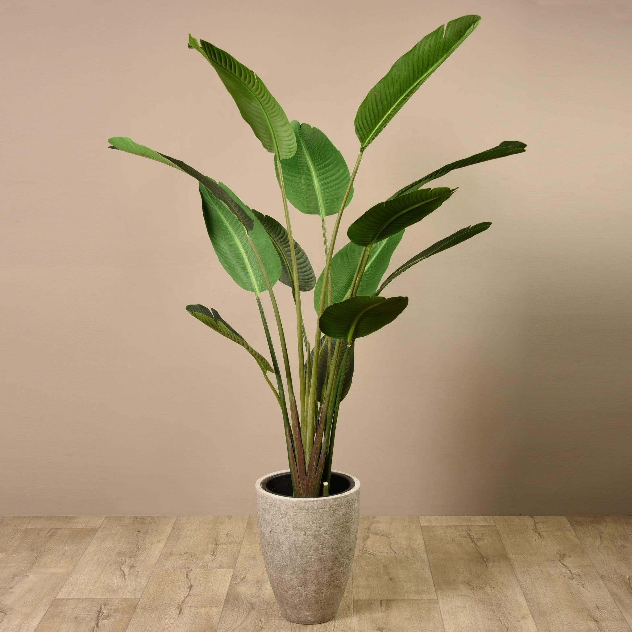 Artificial Strelitzia Tree 190cm - Image 7