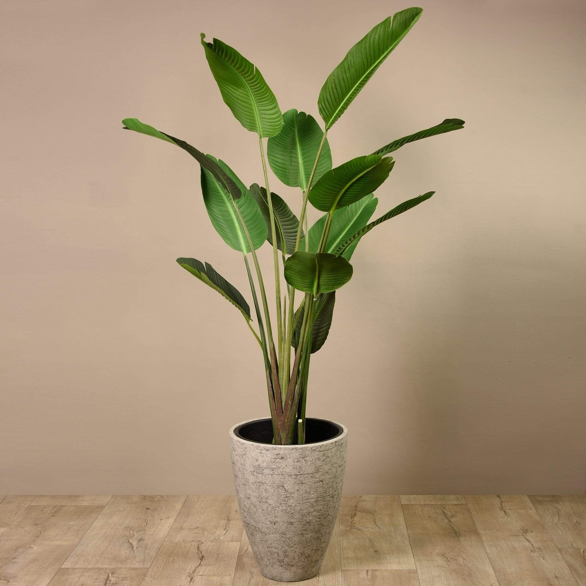 Artificial Strelitzia Tree 190cm - Image 8