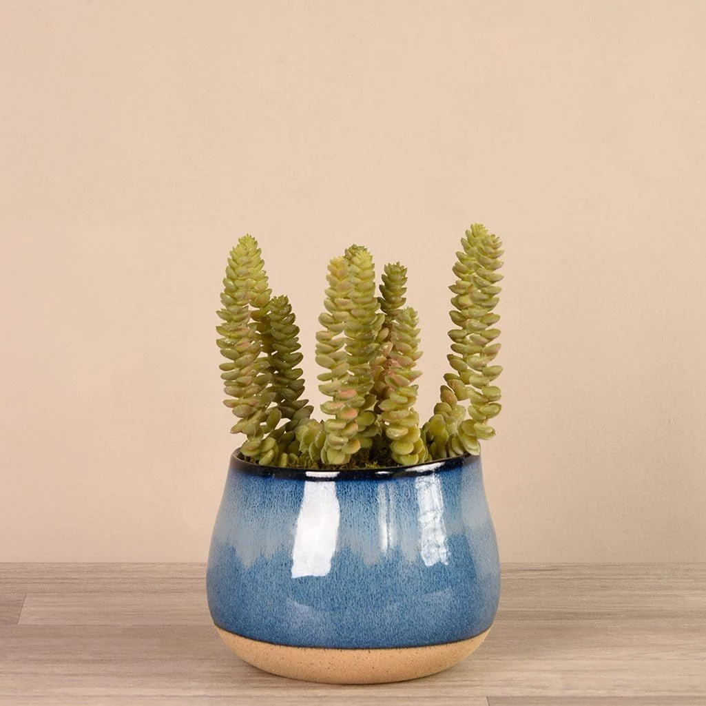 Santa Fe Succulent Arrangement - Image 5