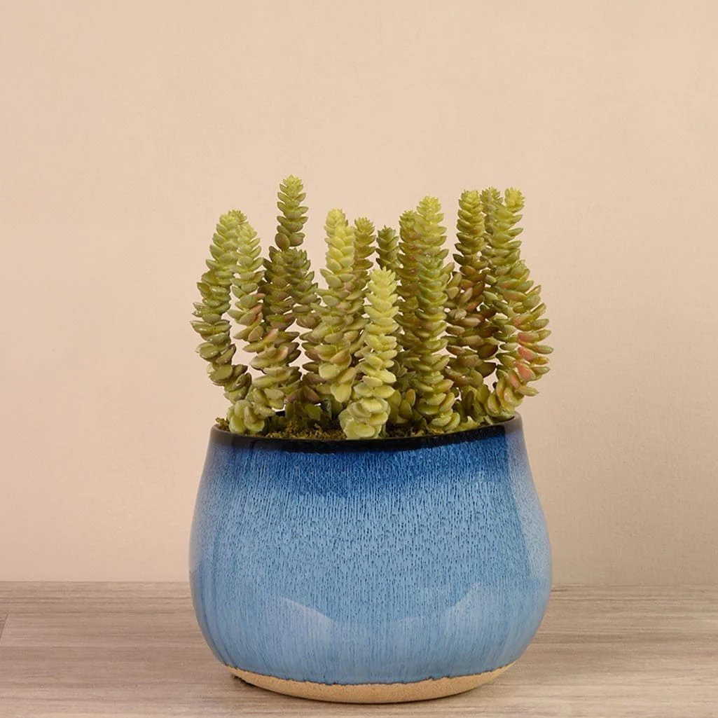 Santa Fe Succulent Arrangement - Image 7