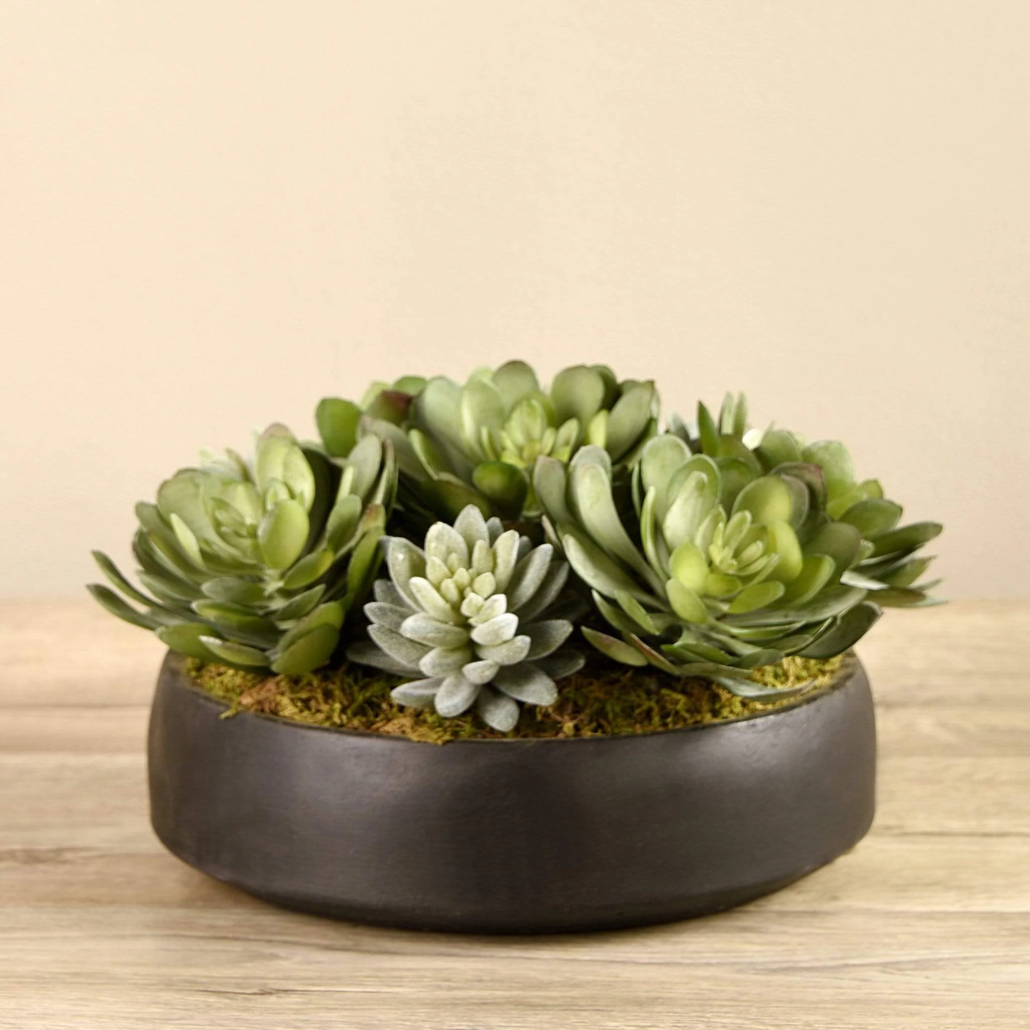 Artificial Succulent Arrangement in Bowl - Image 2