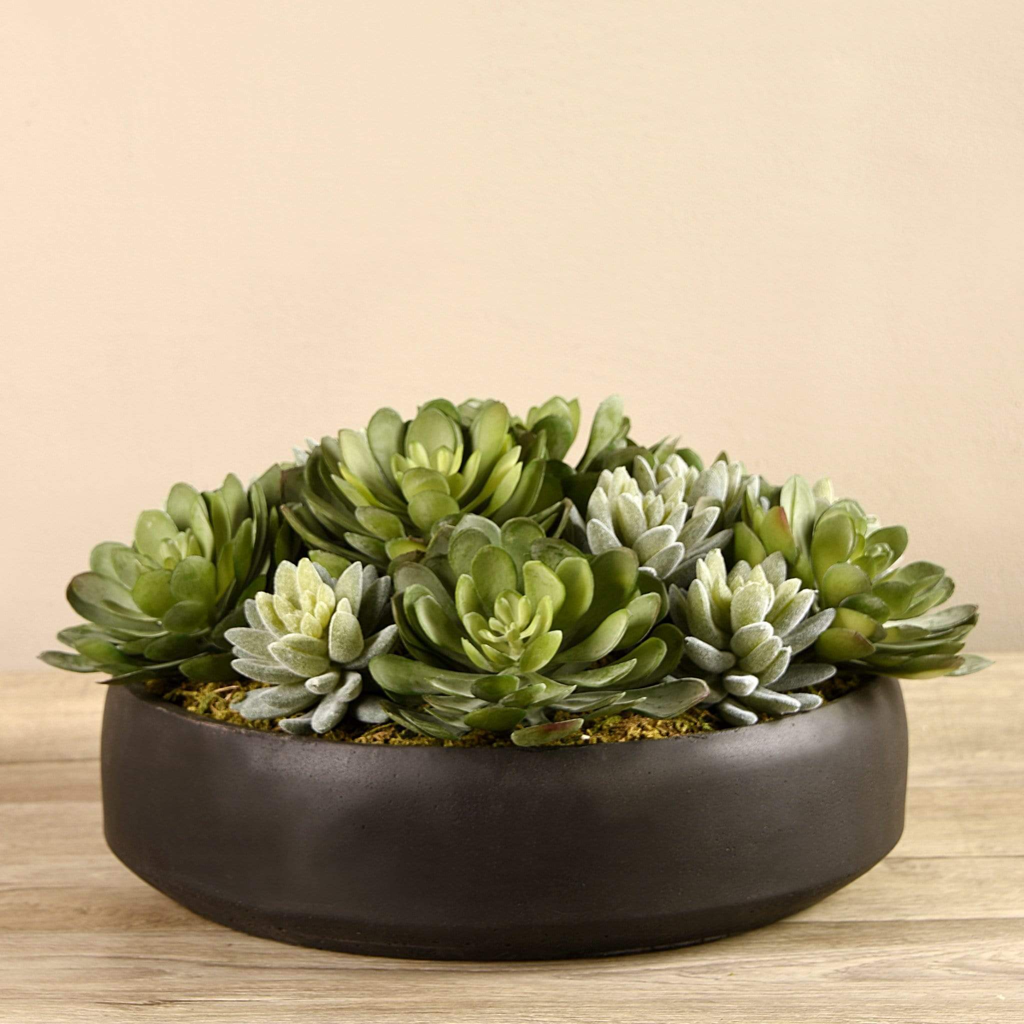 Artificial Succulent Arrangement in Bowl - Image 3