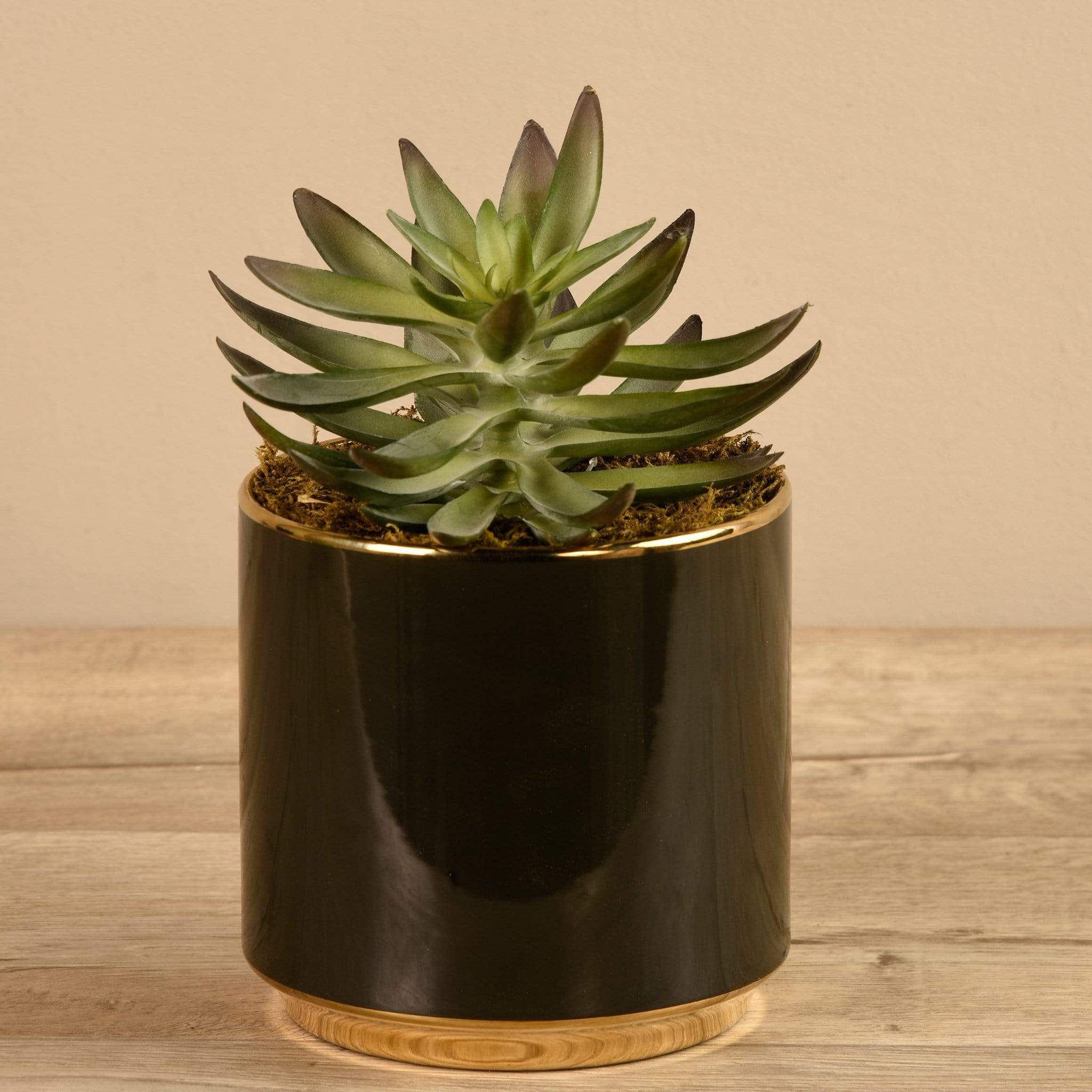 Artificial Succulent In Black Pot