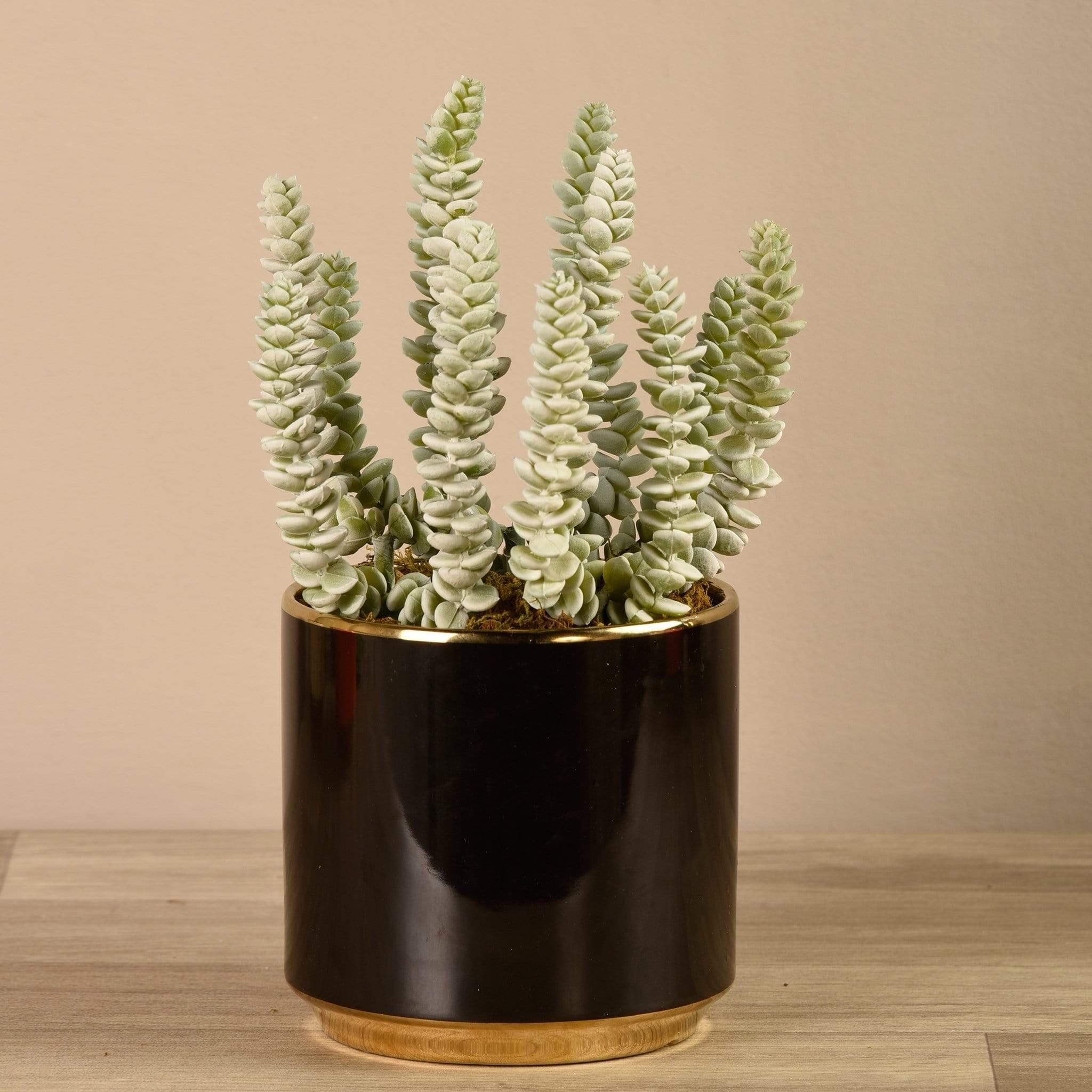 Artificial Succulent in Black Pot