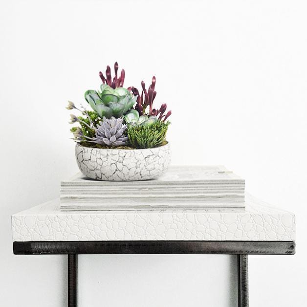 Rustic Succulent Arrangement - Image 3