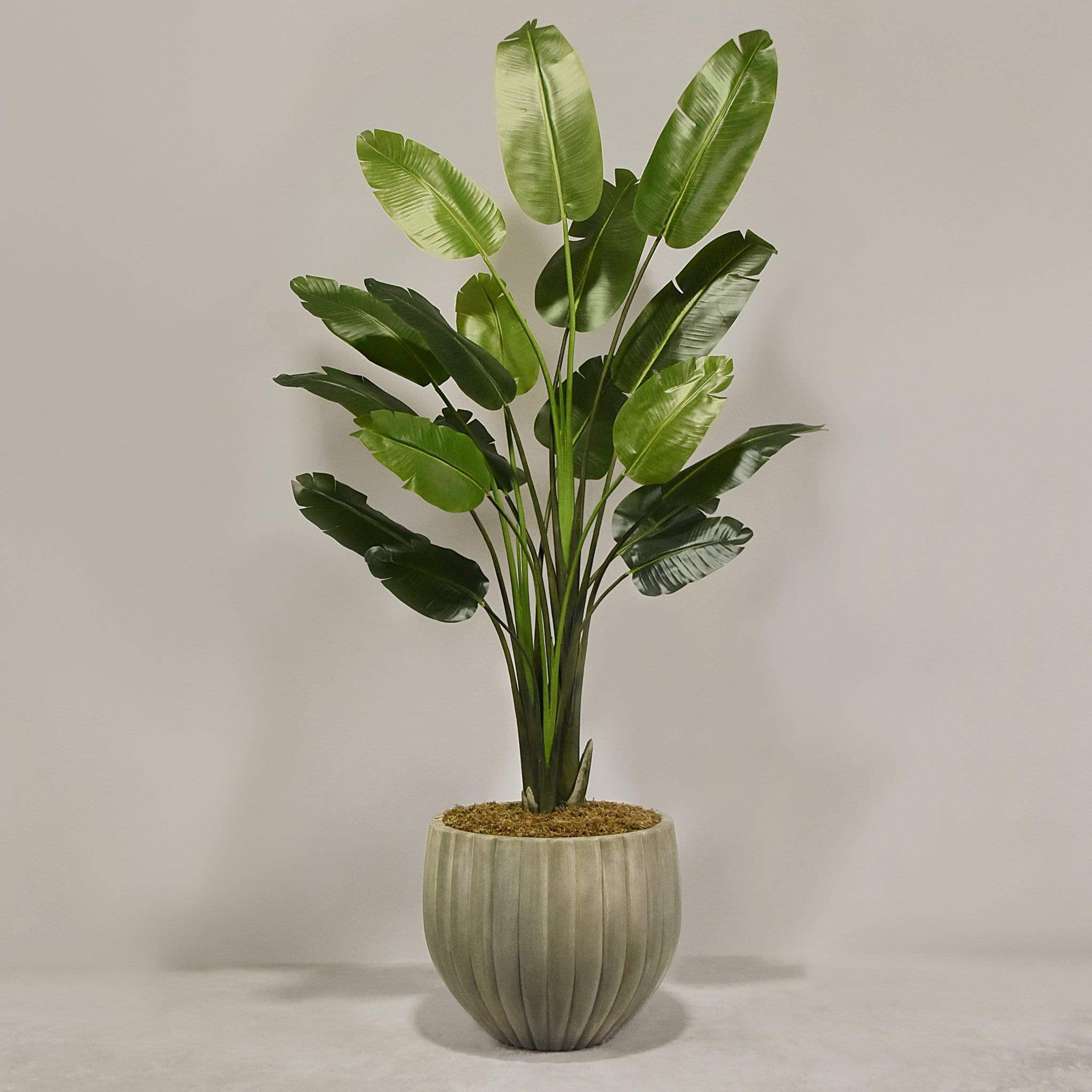 Artificial Travelers Palm with Pot - Image 4