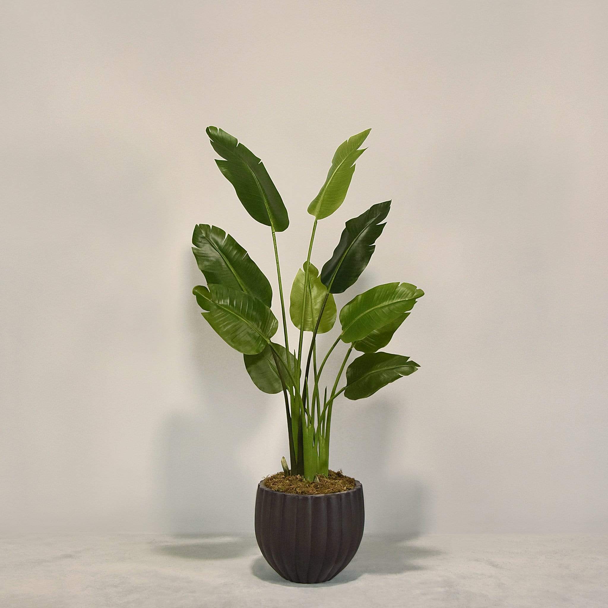 Artificial Travelers Palm with Pot - Image 6