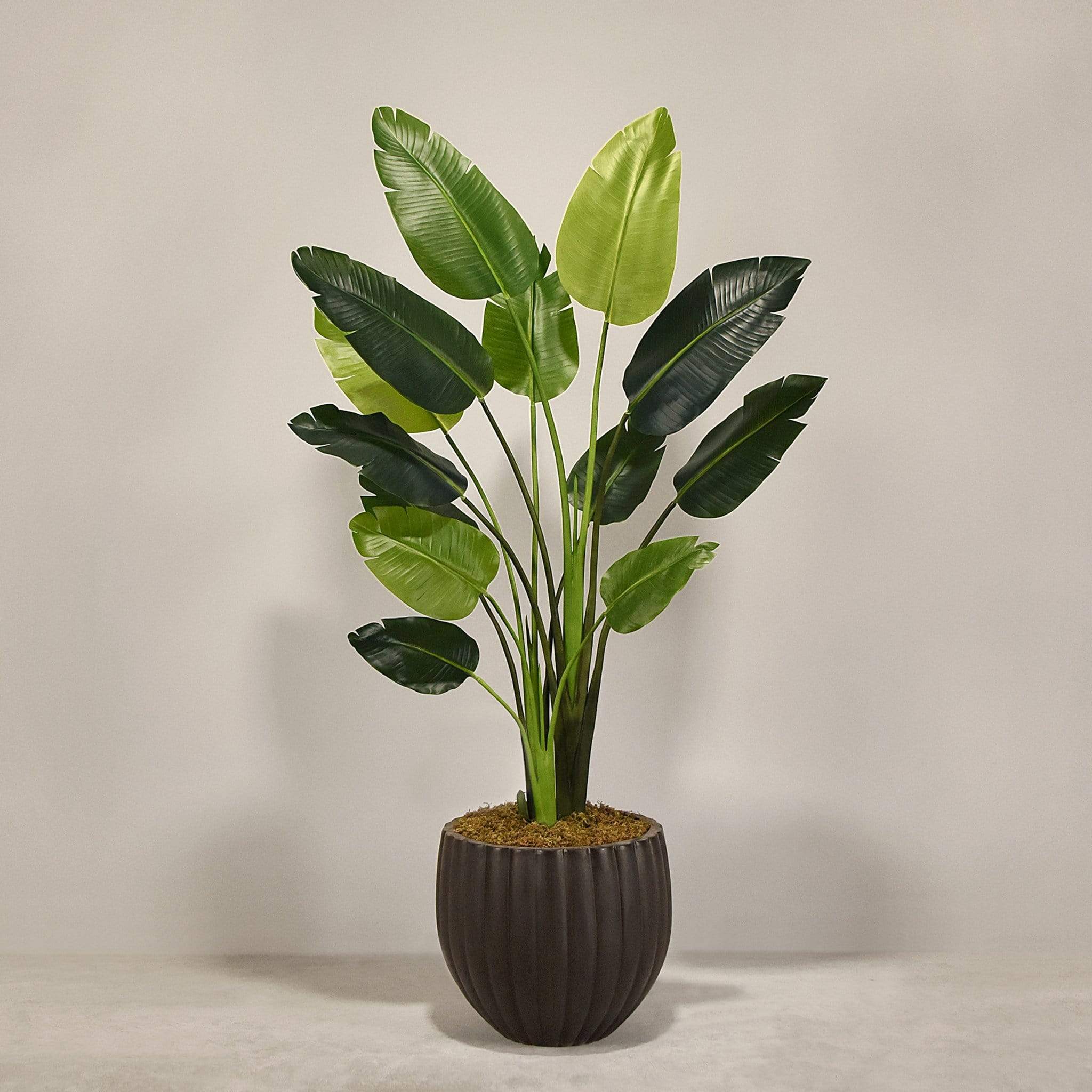 Artificial Travelers Palm with Pot - Image 7