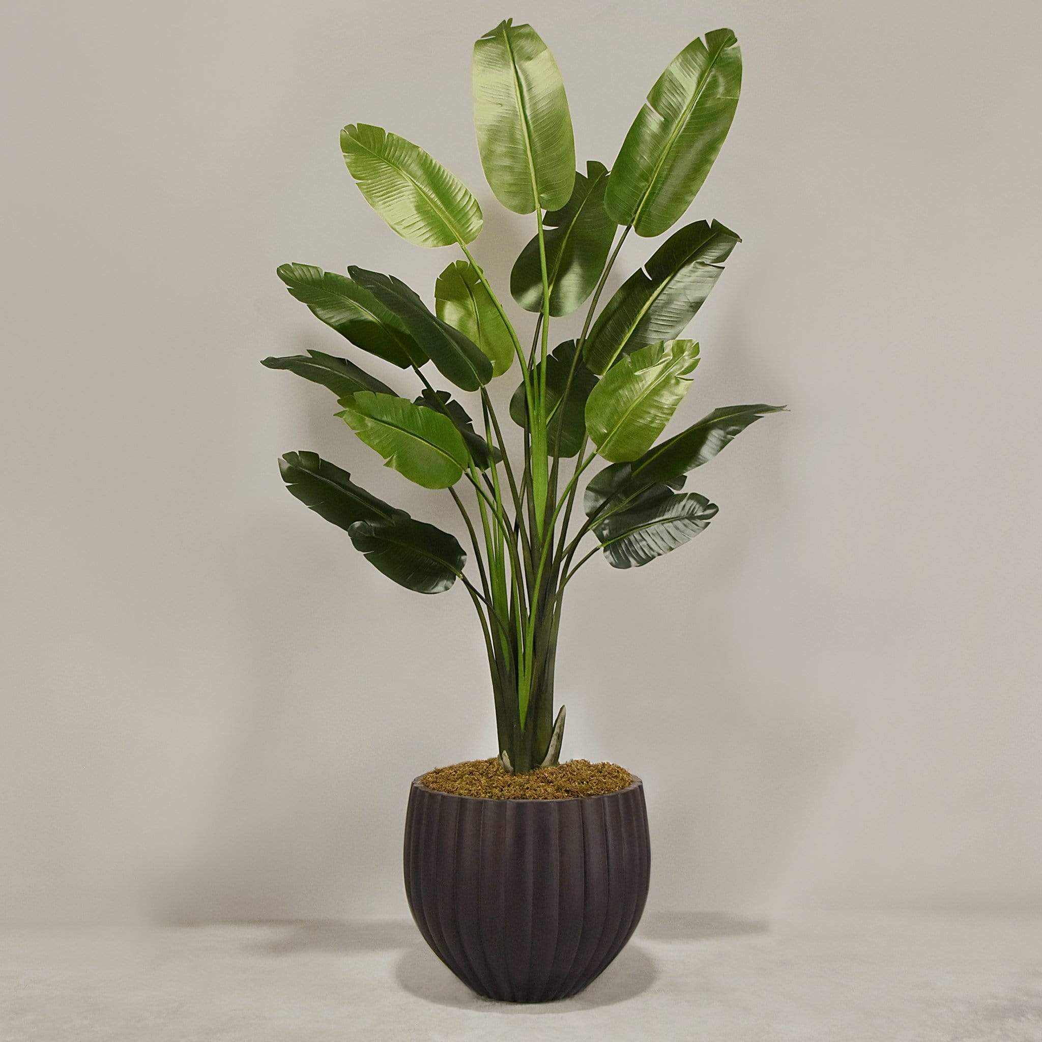Artificial Travelers Palm with Pot - Image 8