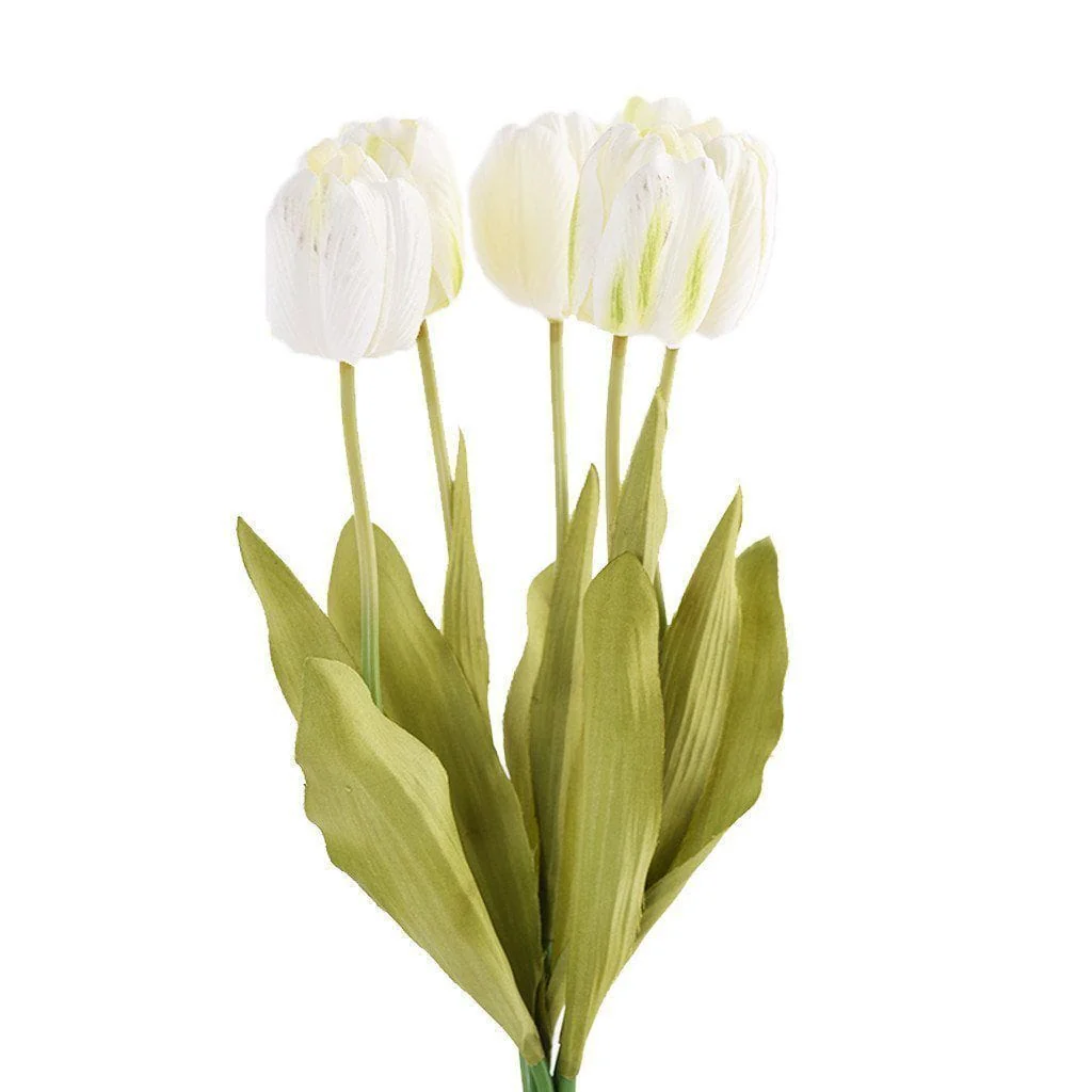 Tulip
