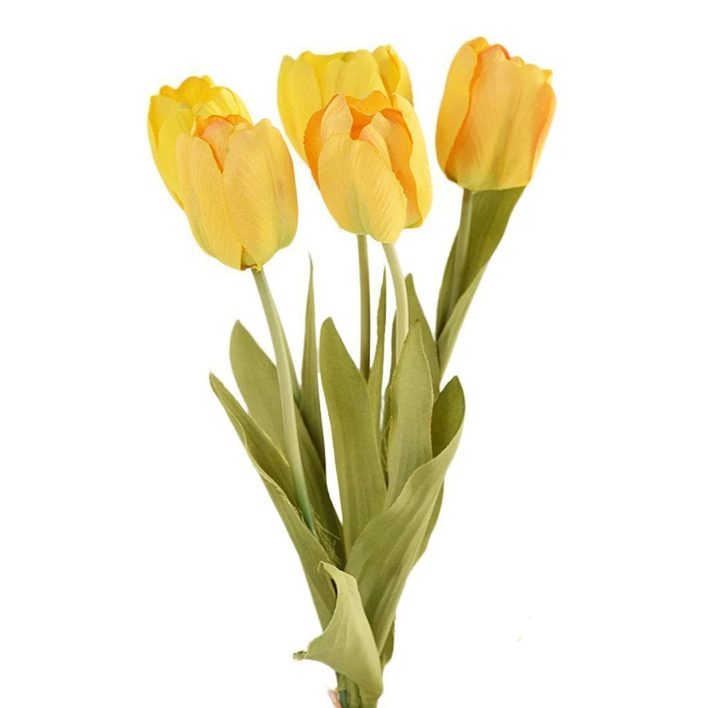 Tulip - Image 5