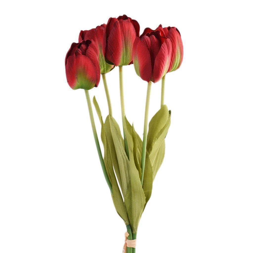 Tulip - Image 6
