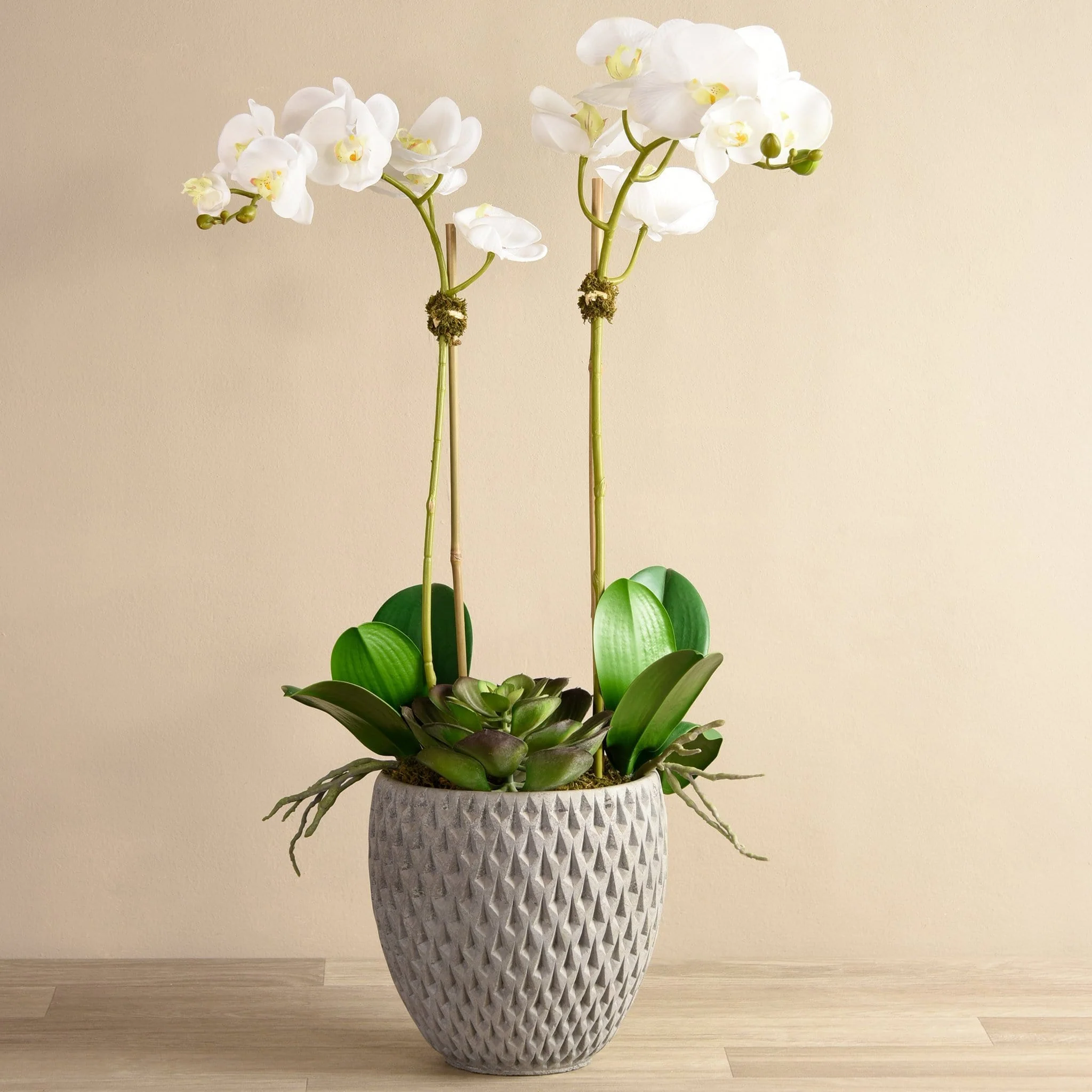 Urban Orchid & Succulent Arrangement - Image 5