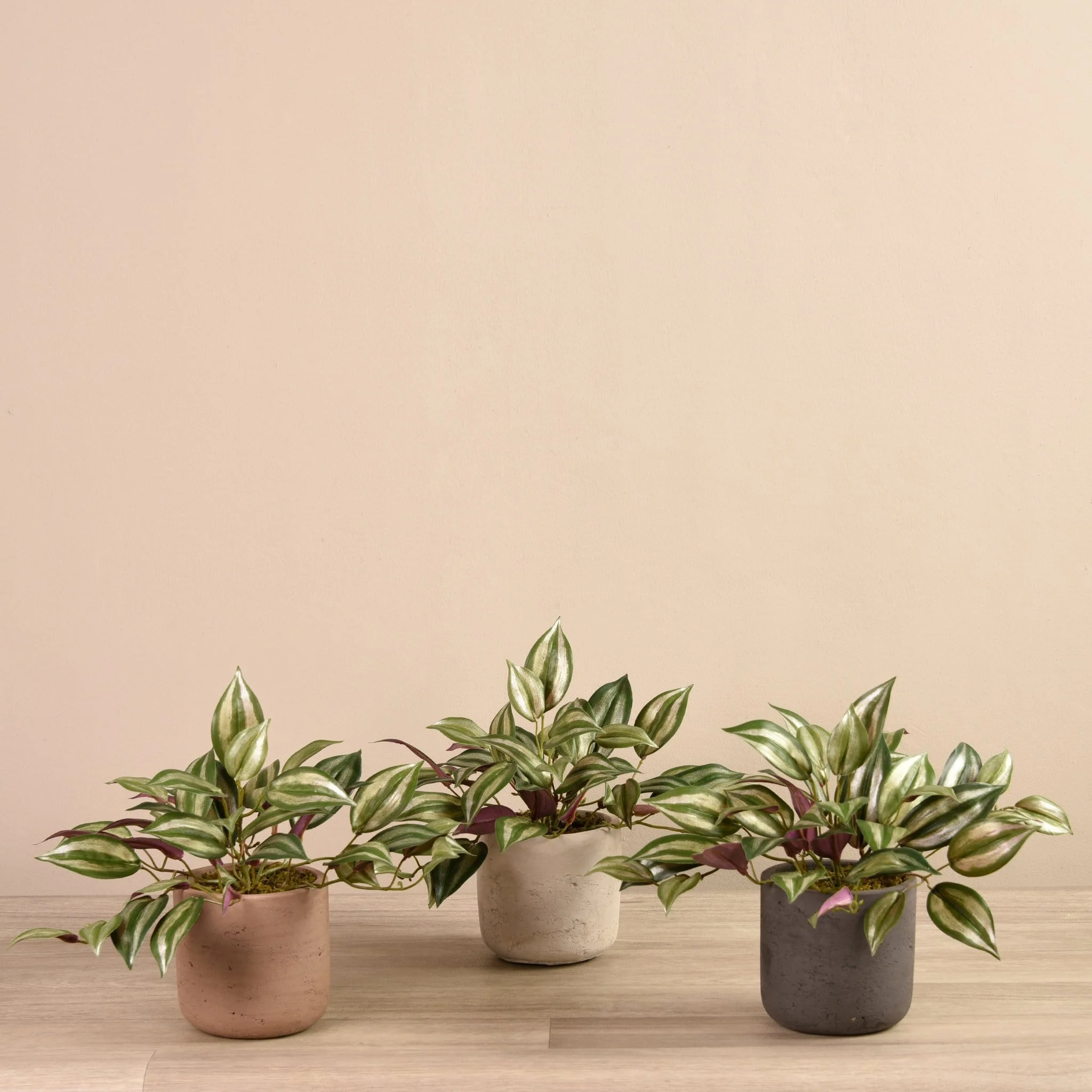 Artificial Vanilla Leaf in Cement Pot