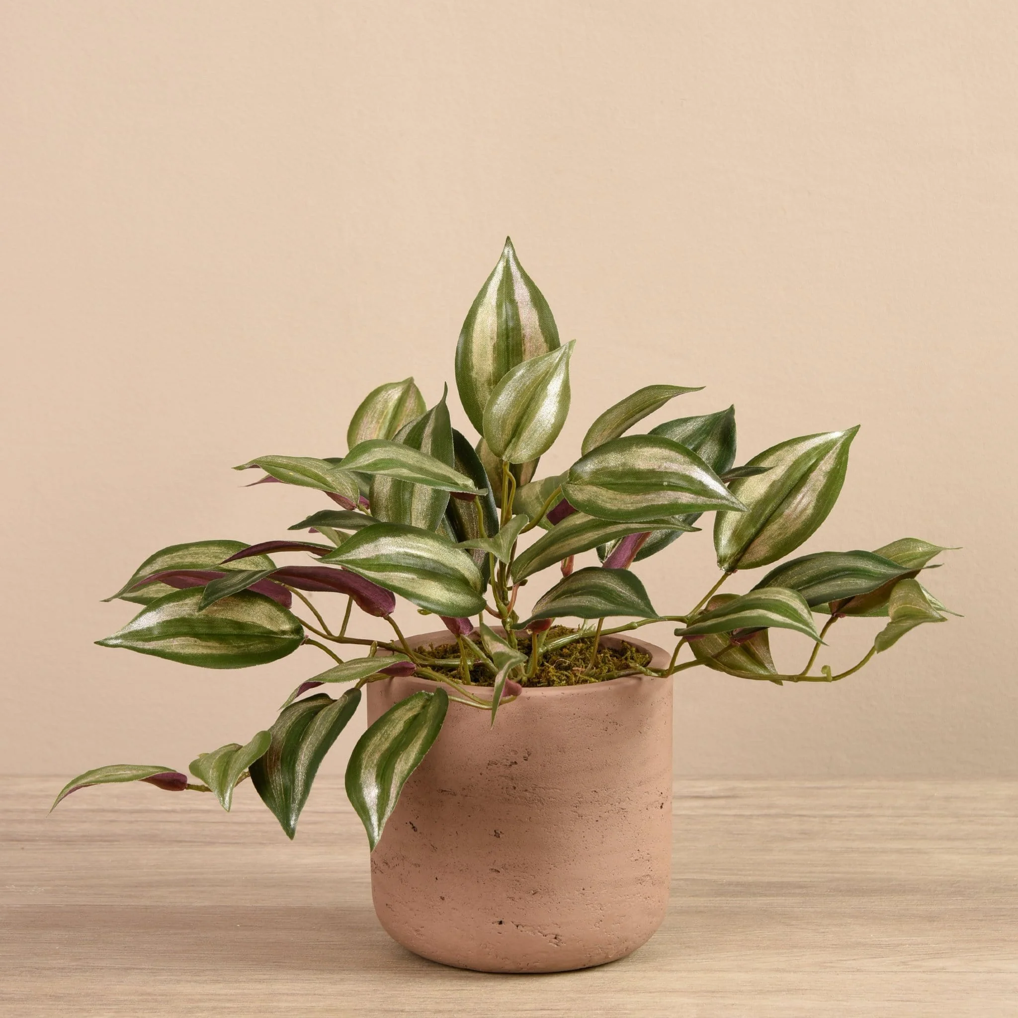 Artificial Vanilla Leaf in Cement Pot - Image 3